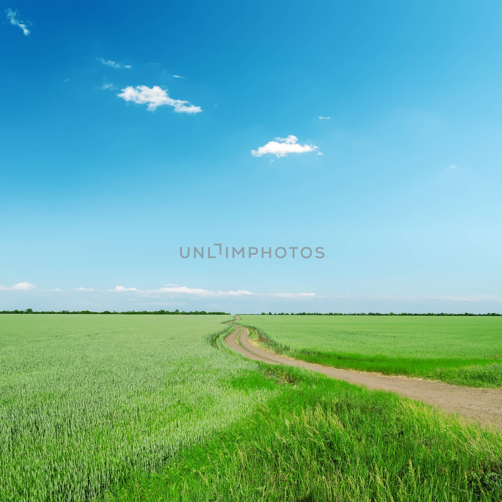 road in green field under blue sky by mycola