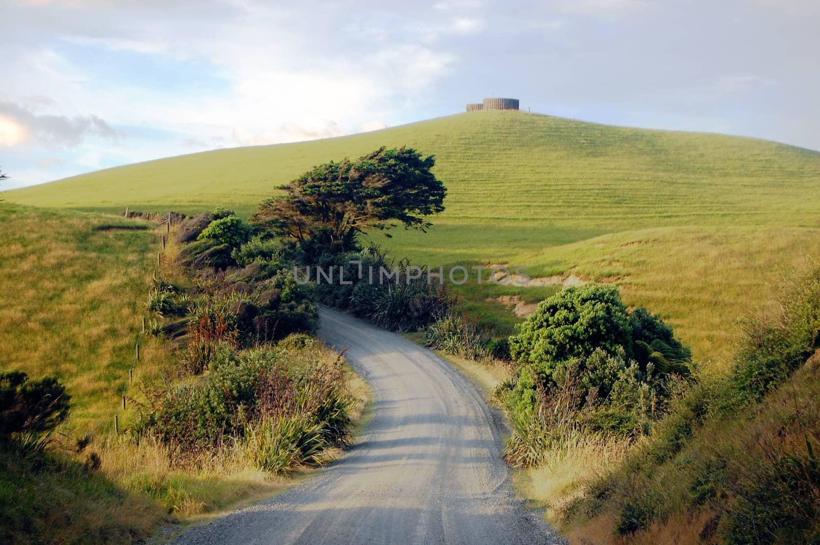 Gravel road turn left at rural area near water tank on hill top, Dargaville, New Zealand
