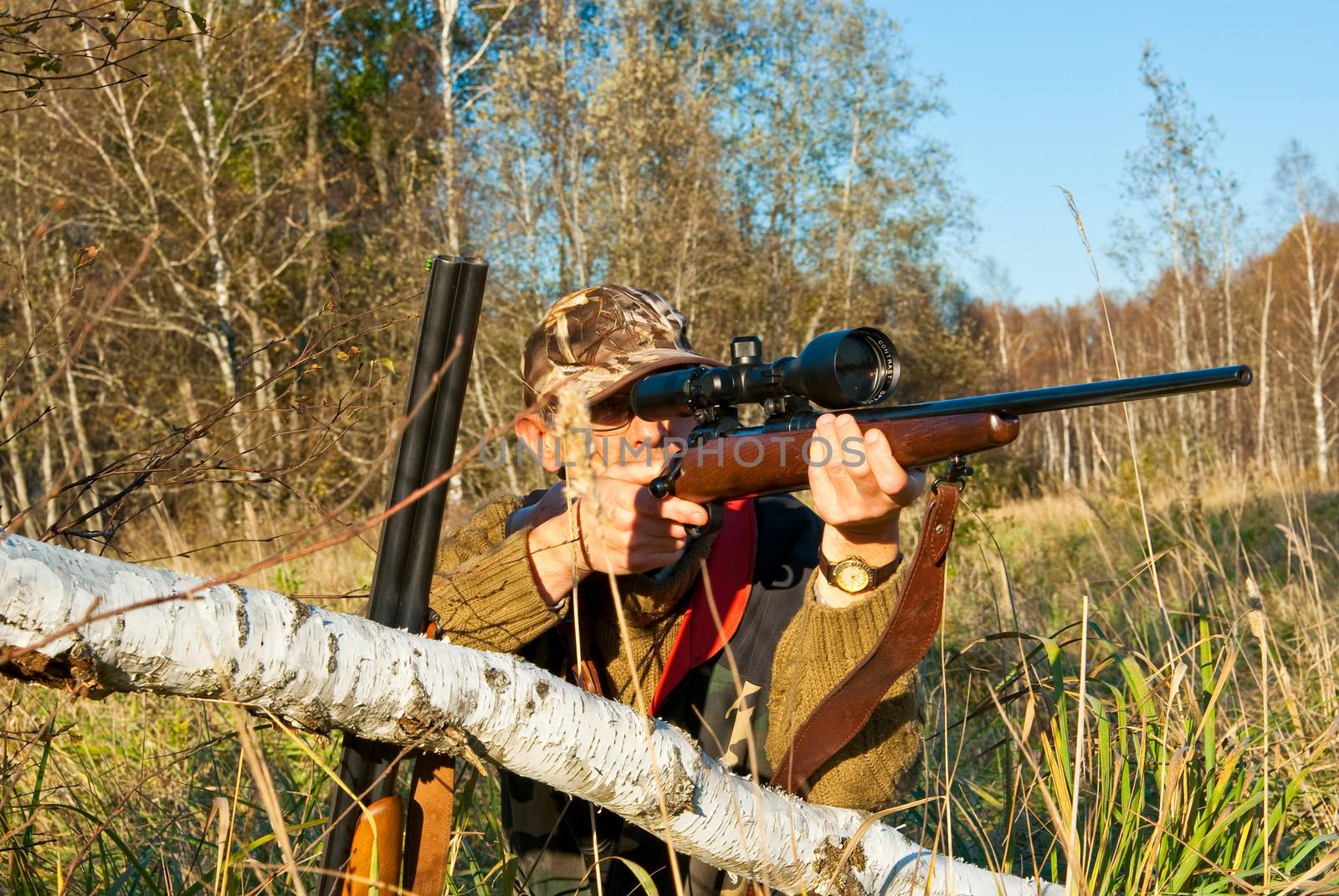 Hunter aiming animals with rifle near fallen birch