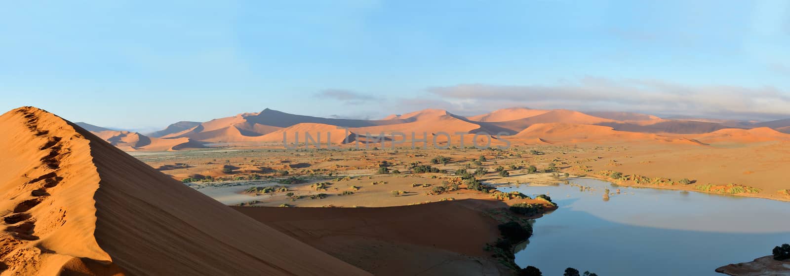 Panorama from four photos showing Deadvlei and Sossusvlei
