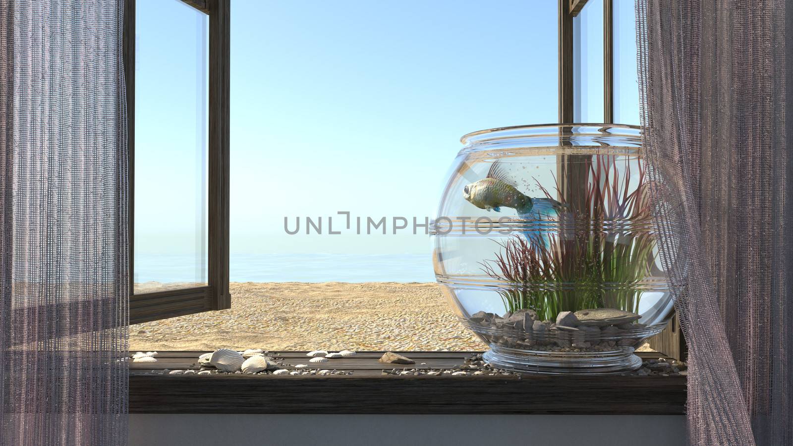 Conceptual background with beach sea, window, fish and aquarium