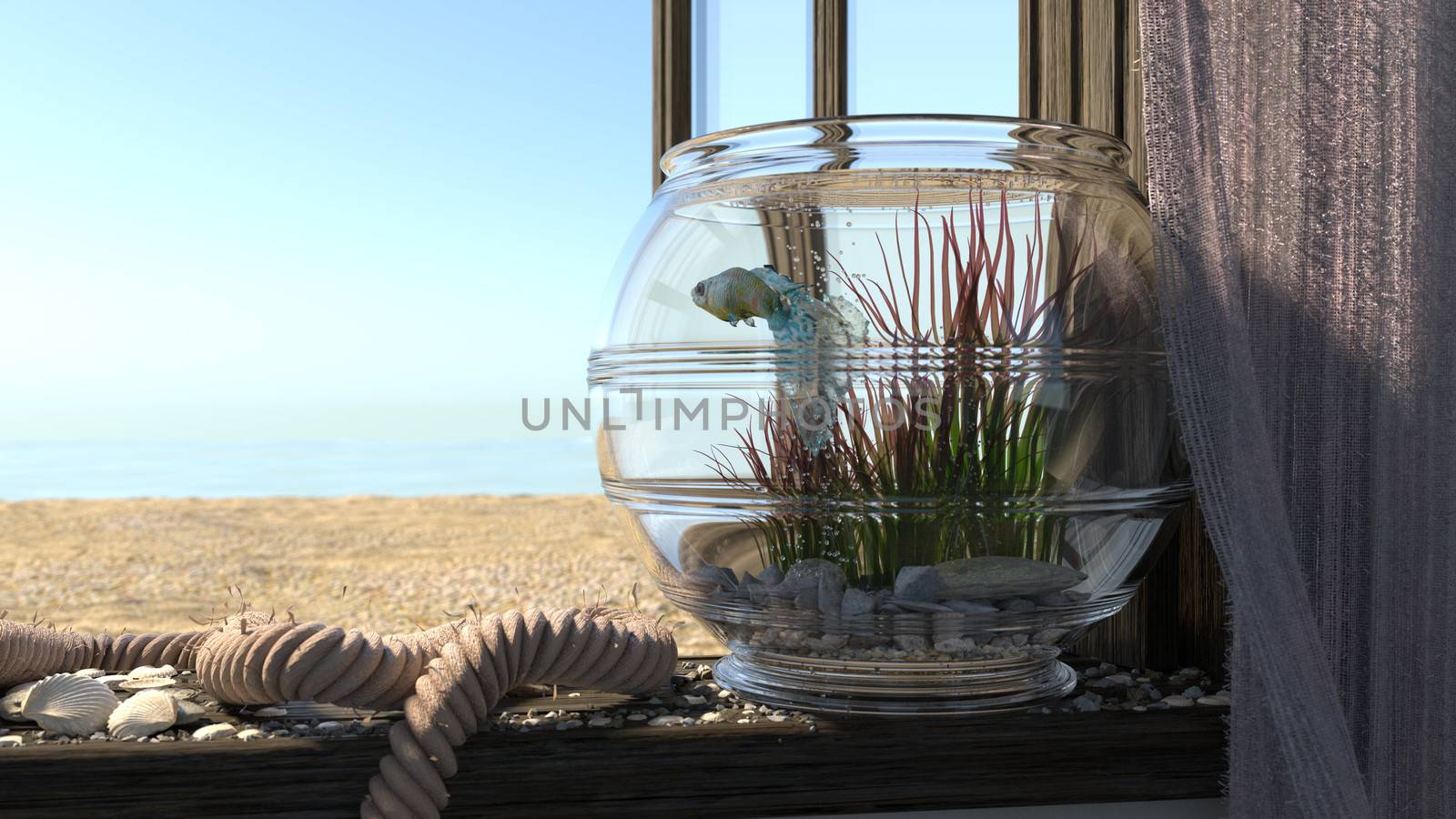 Conceptual background with beach sea, window, fish and aquarium by denisgo
