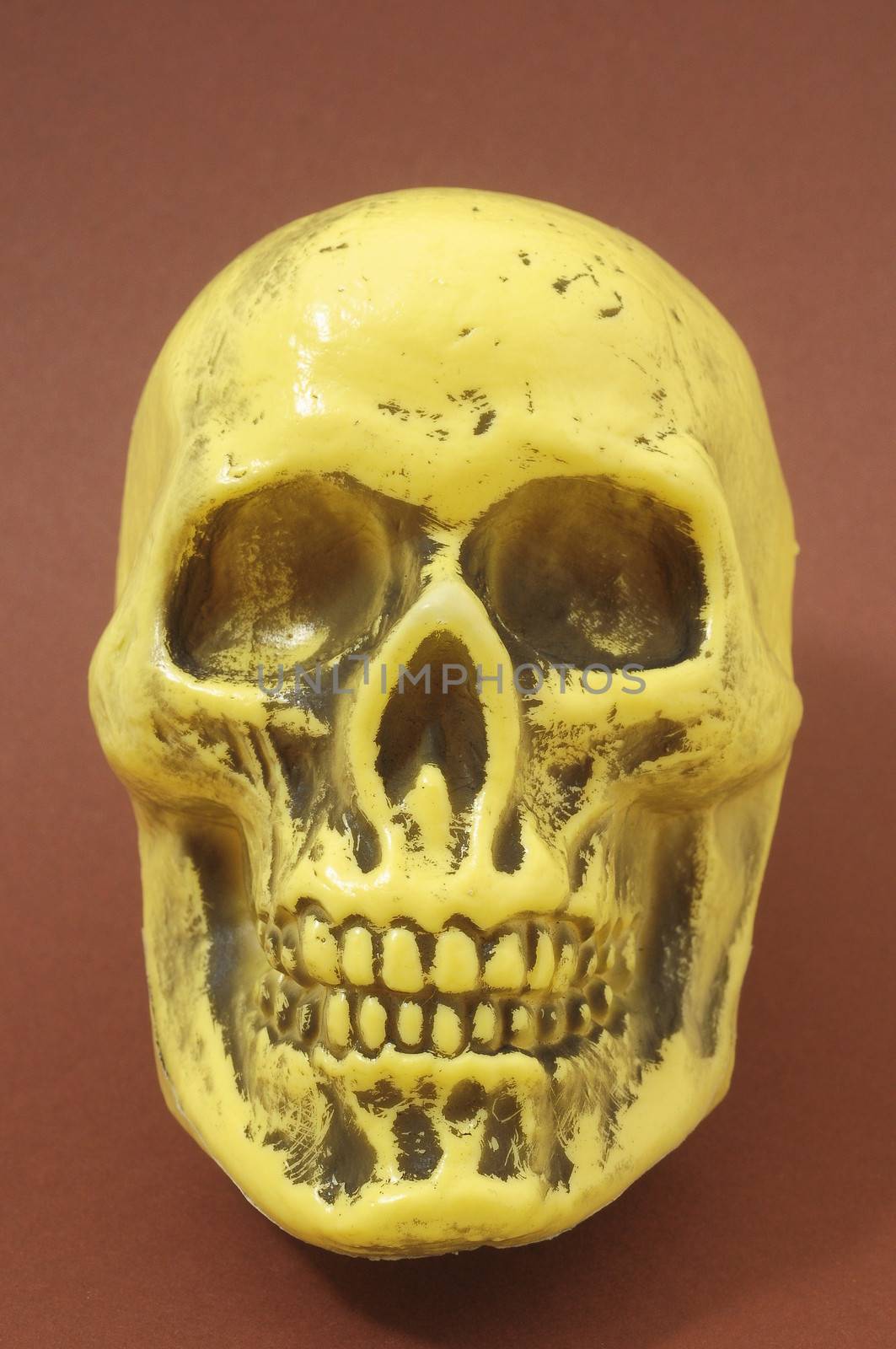 An Ancient Yellow Skull on a Colored Background