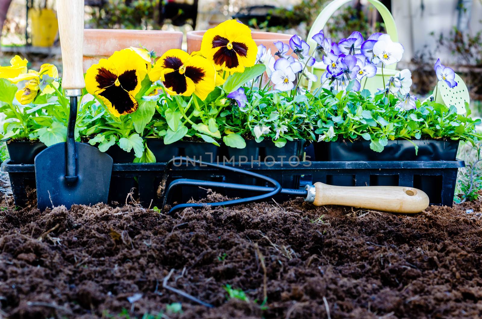 Spring Gardening by dehooks