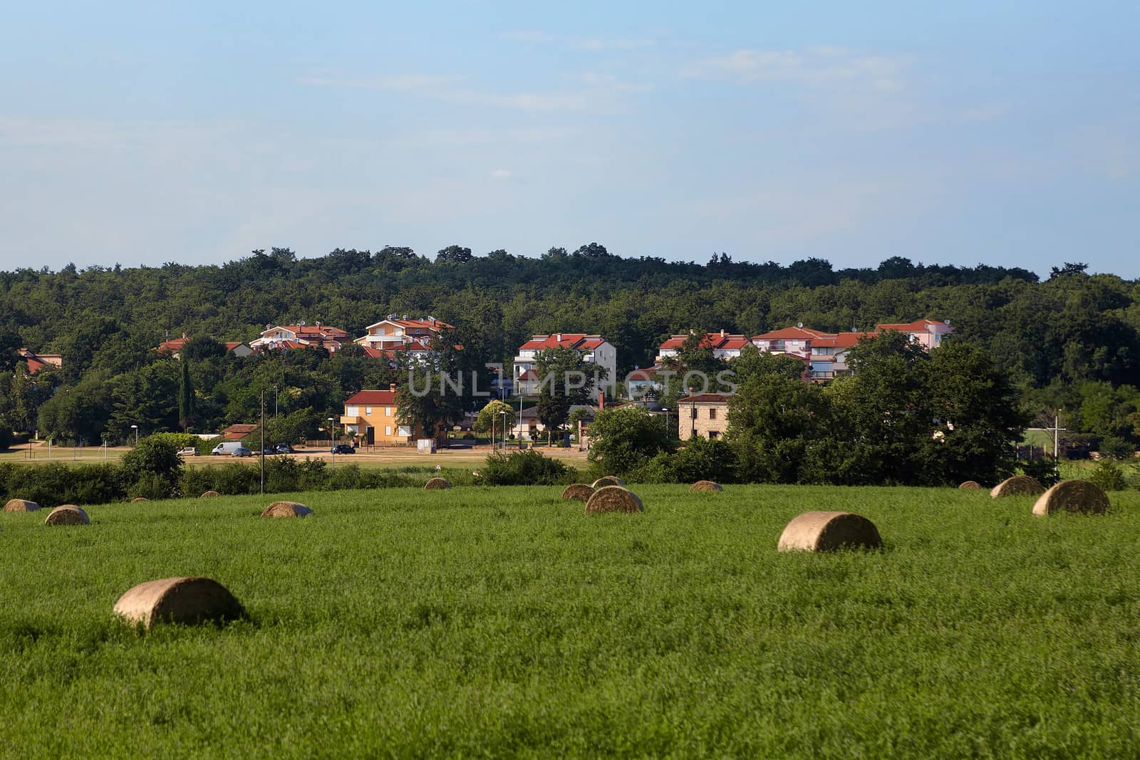 Morning in village by mot1963