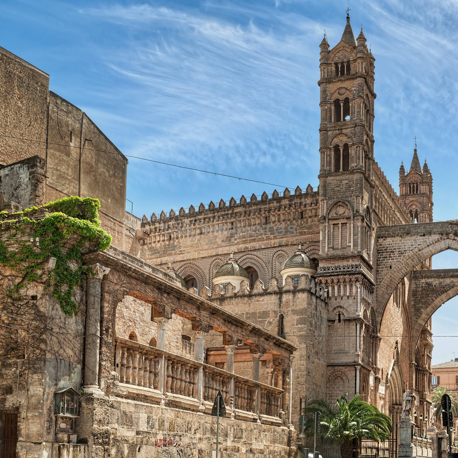 The Cathedral of Palermo by mot1963