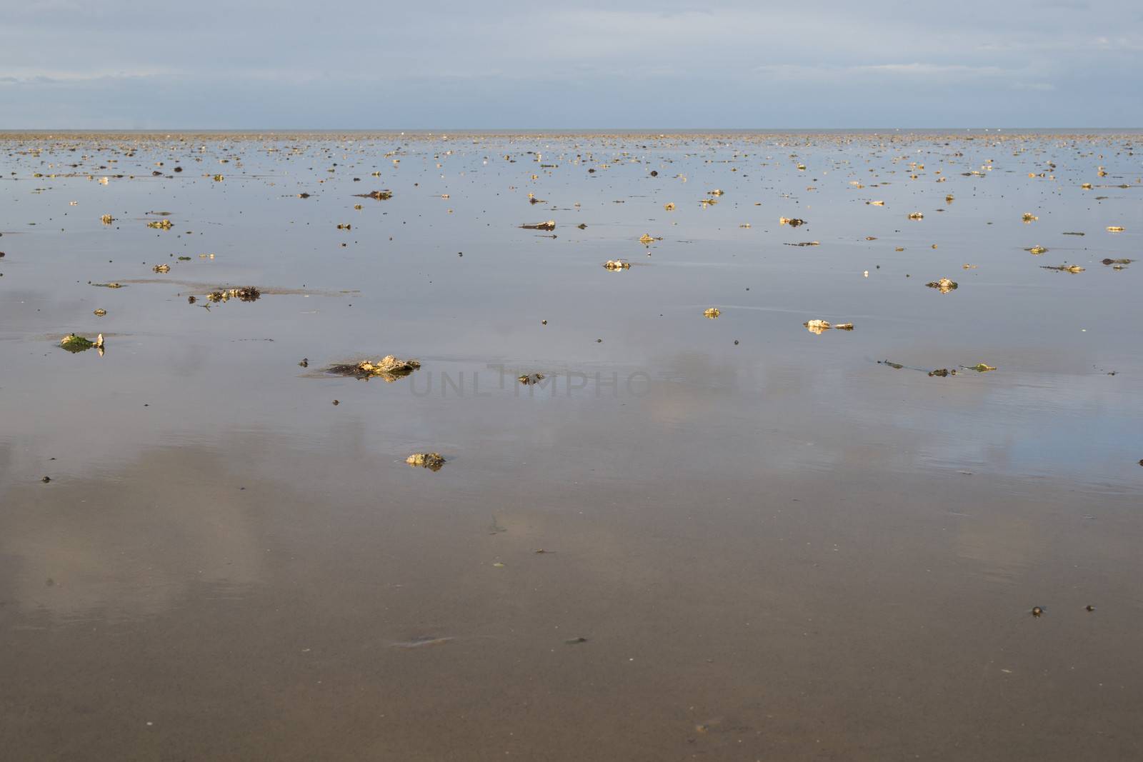 Wadden sea around the island Sylt in Germany at low tide