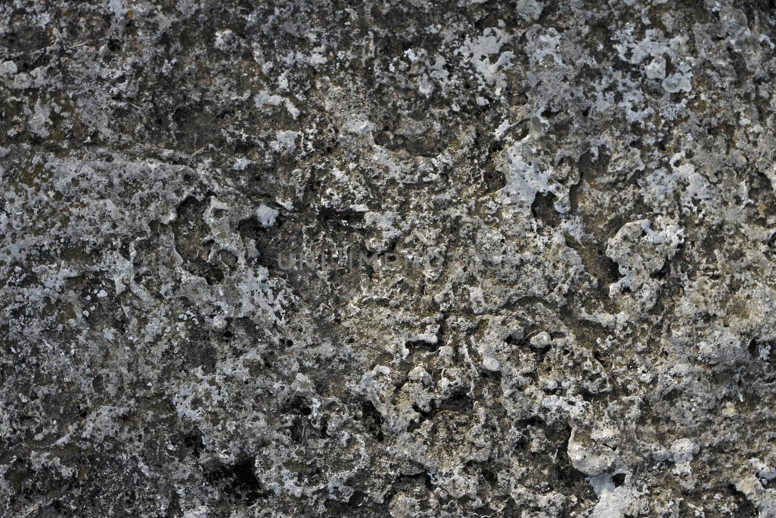 Natural background with a stone and the moss