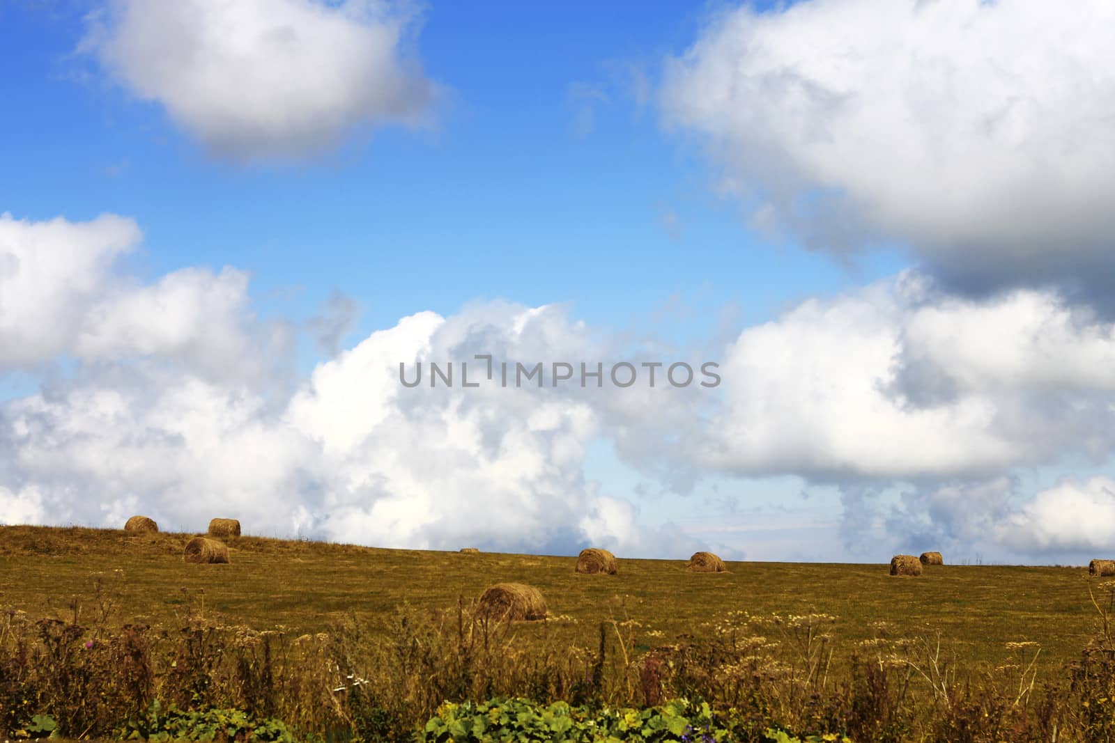 Straw roll bale on the field of farmland