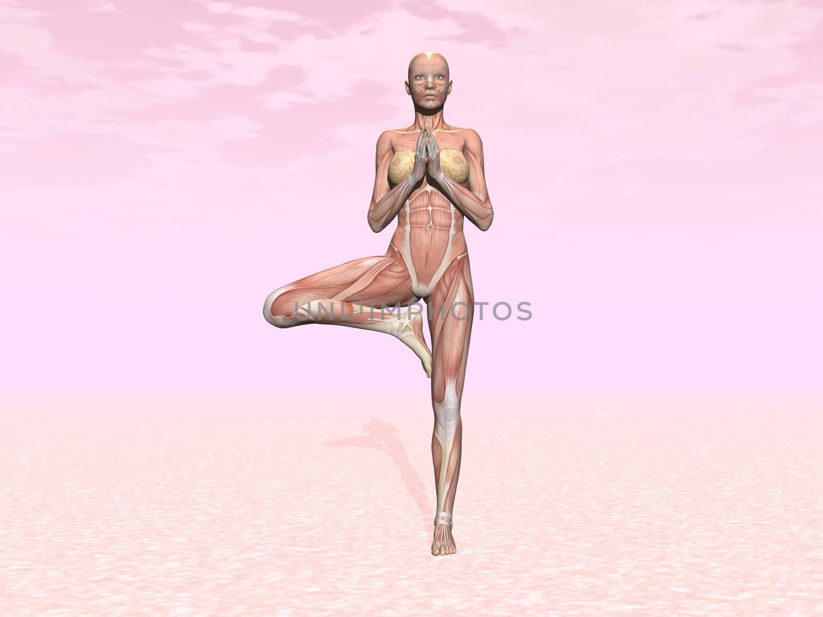 Tree yoga pose for woman with muscle visible in pink background