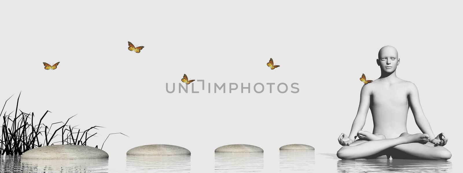Grass into water near stones steps and butterfly leading to human meditating in white background