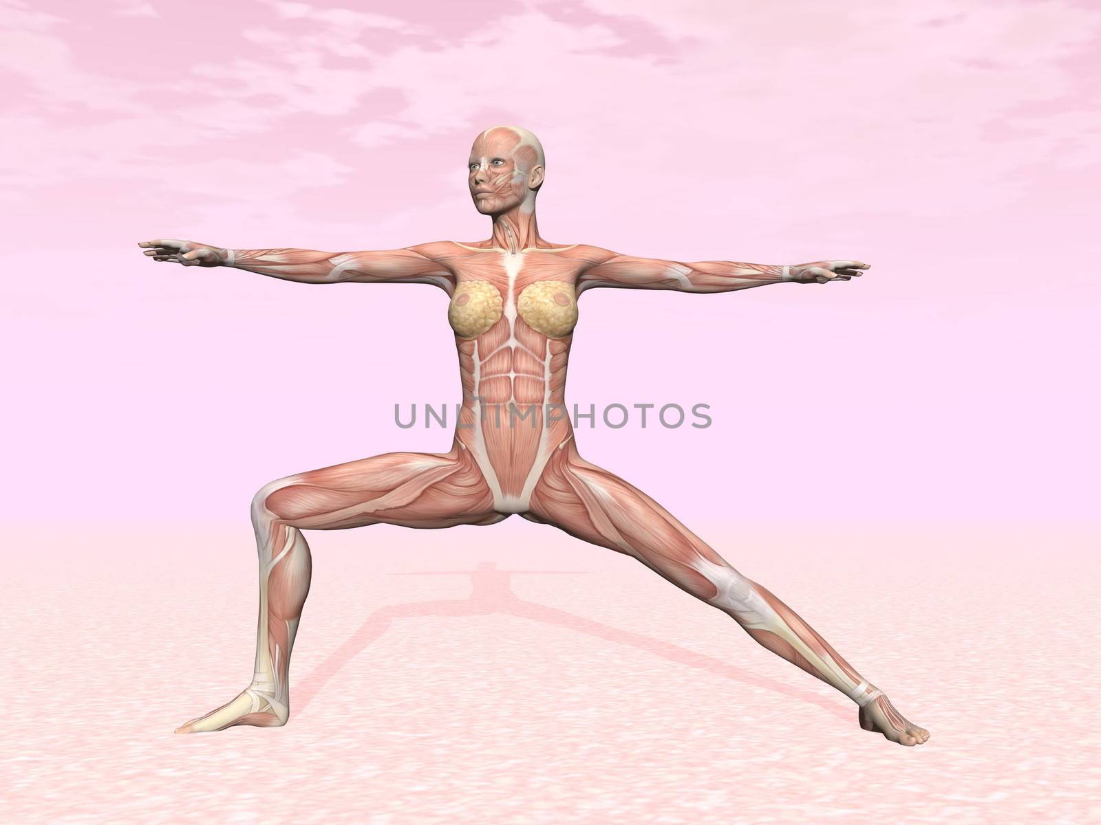 Warrior yoga pose for woman with muscle visible in pink background