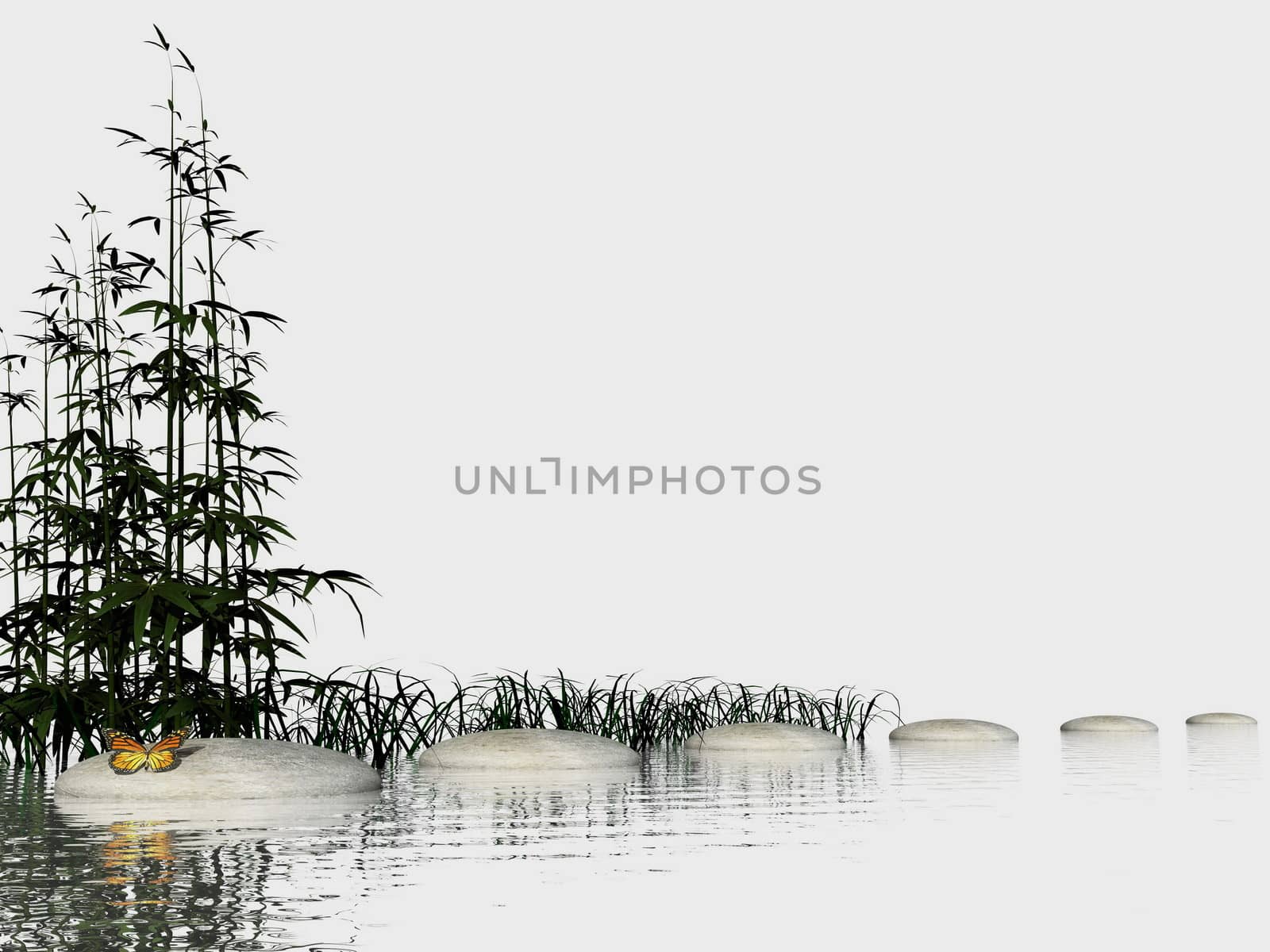Bamboos into water near stones steps and butterfly in white background