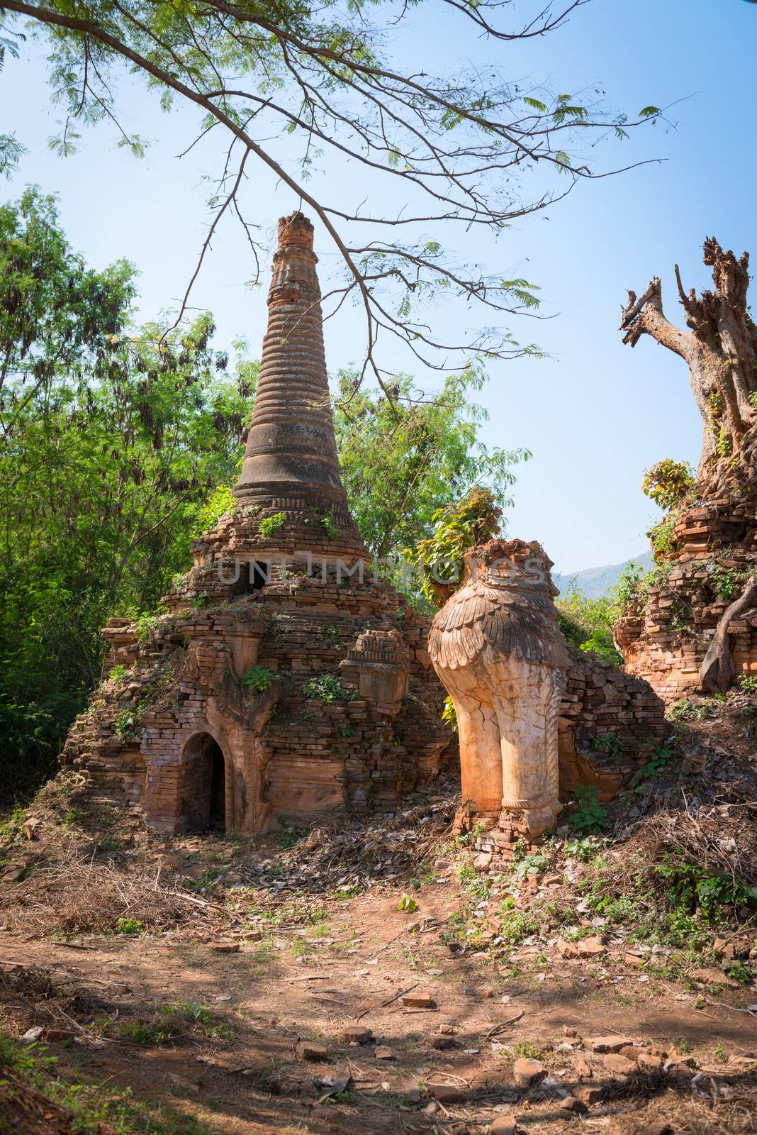 Lion in ancient Burmese Buddhist pagodas  by iryna_rasko