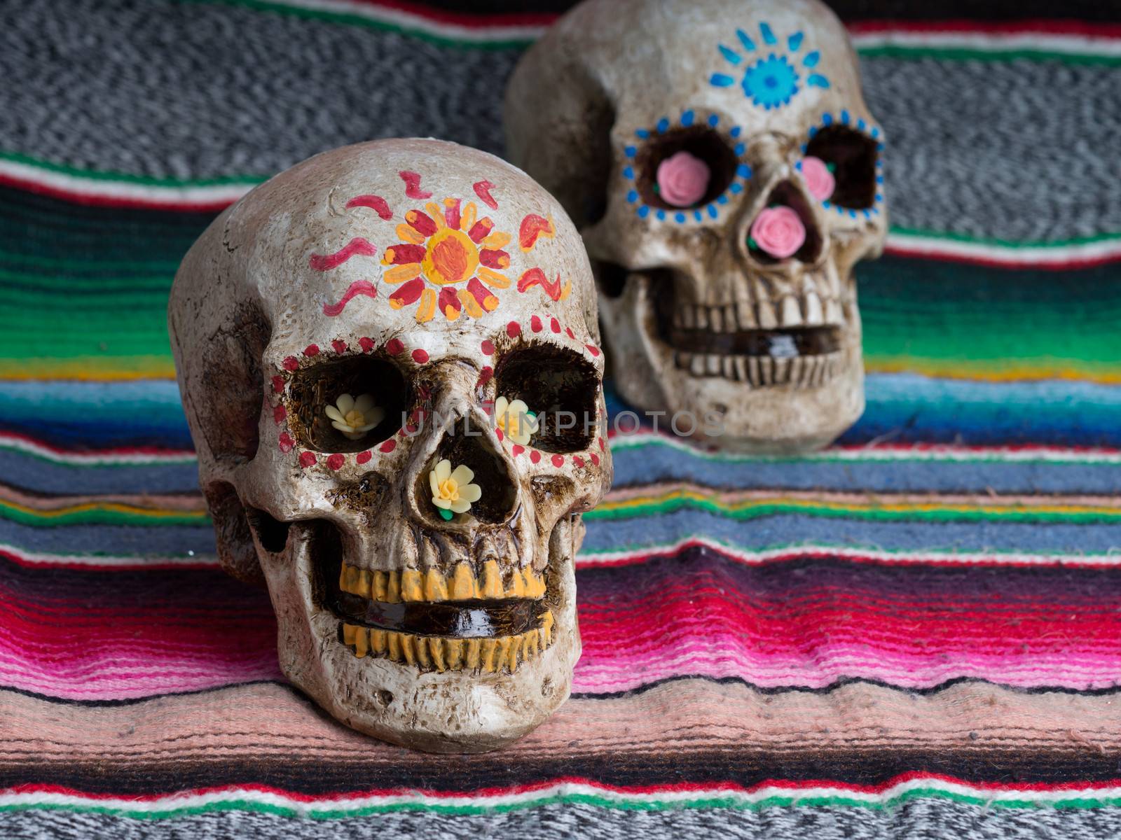 Day of the Dead (dia de los muertos) decorated skulls with colorful Mexican blanket