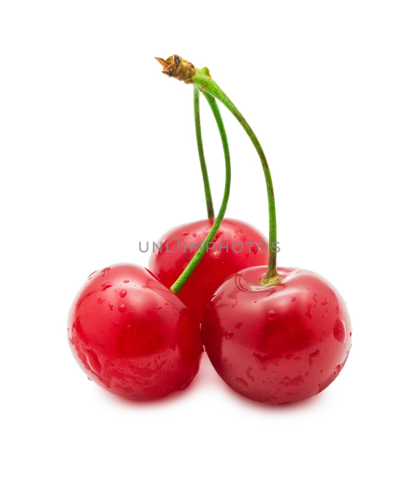 Beautiful red cherry isolated on white background