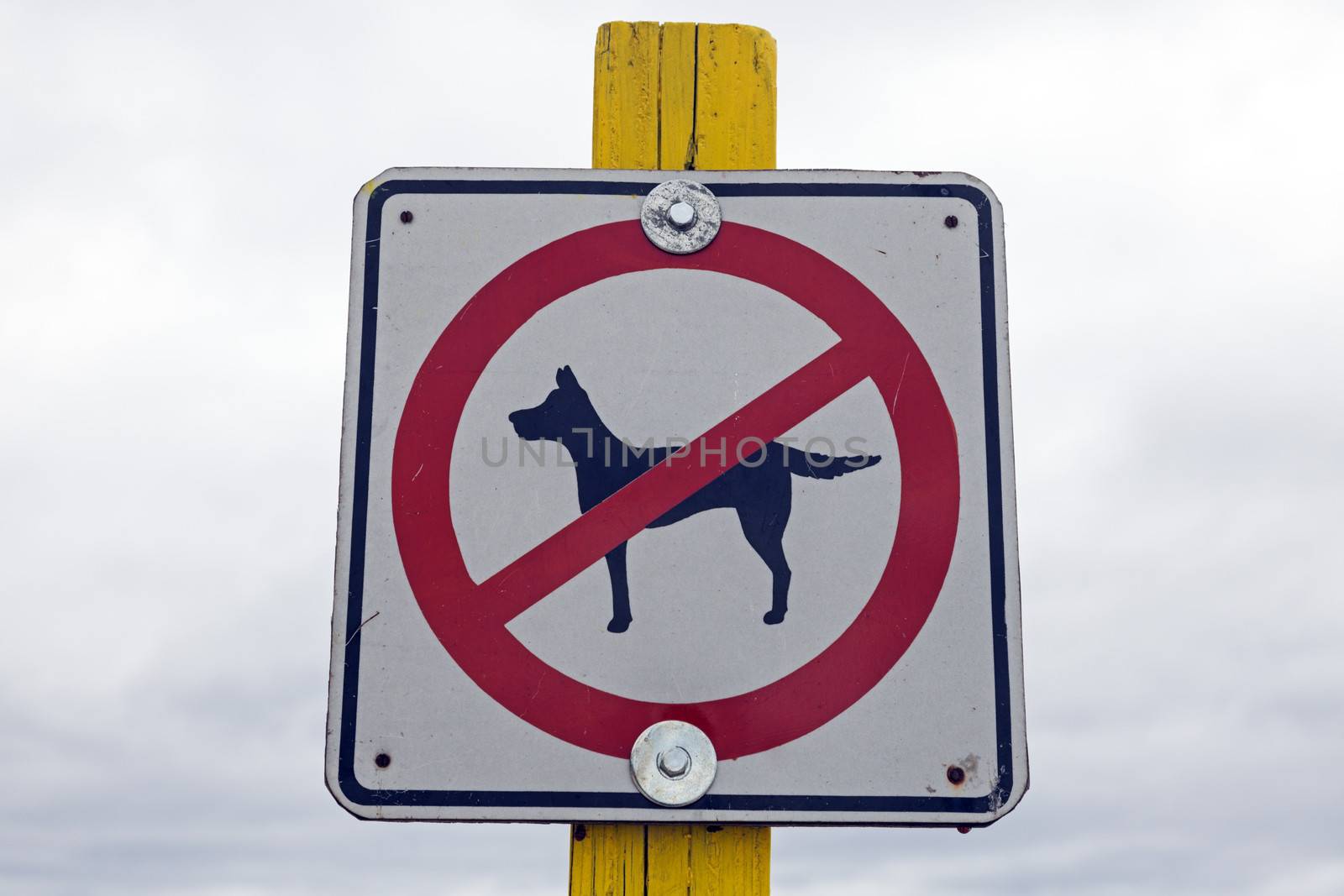 No dogs allowed by benkrut