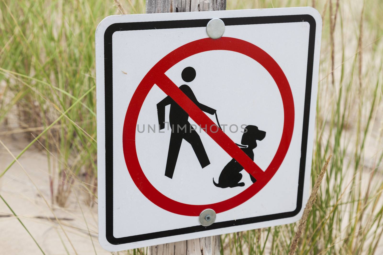 No dogs allowed - sign on the beach in Wisconsin