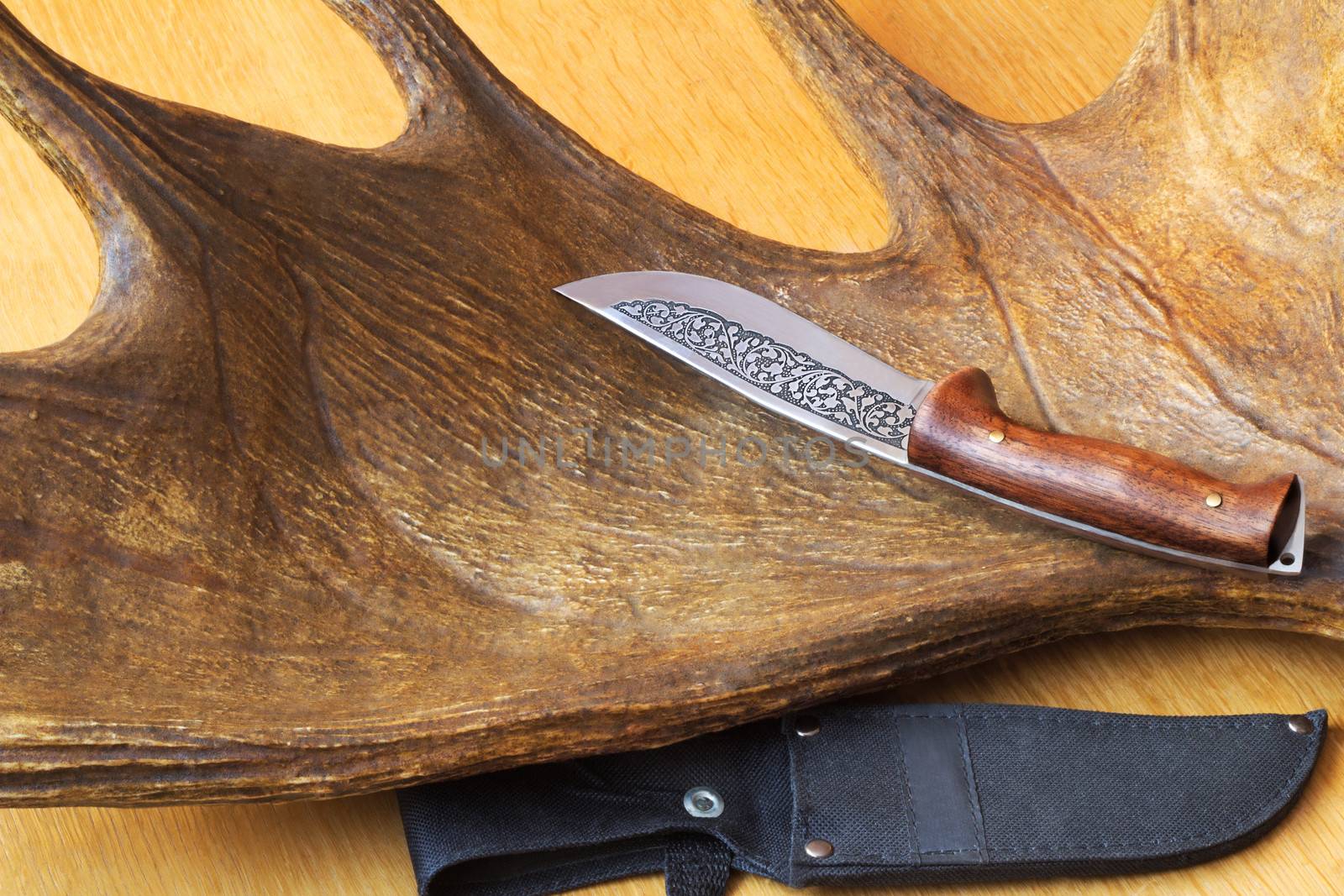 Hunting knife sheath and a trophy hunter - big elk horn. by georgina198