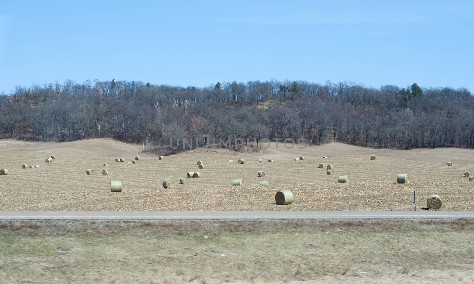 Hay spread out in a large field 