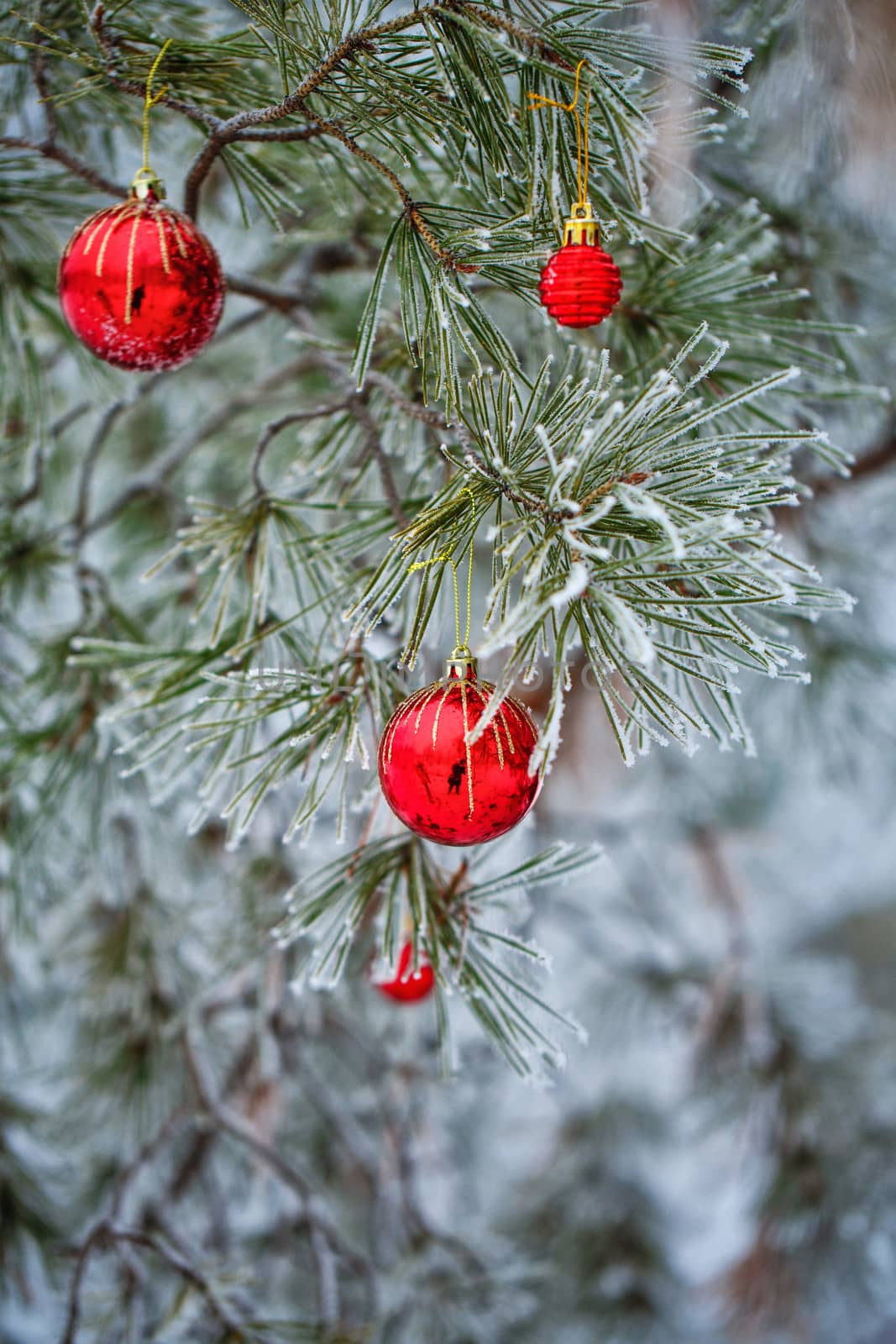 Red Christmas balls by Vagengeym