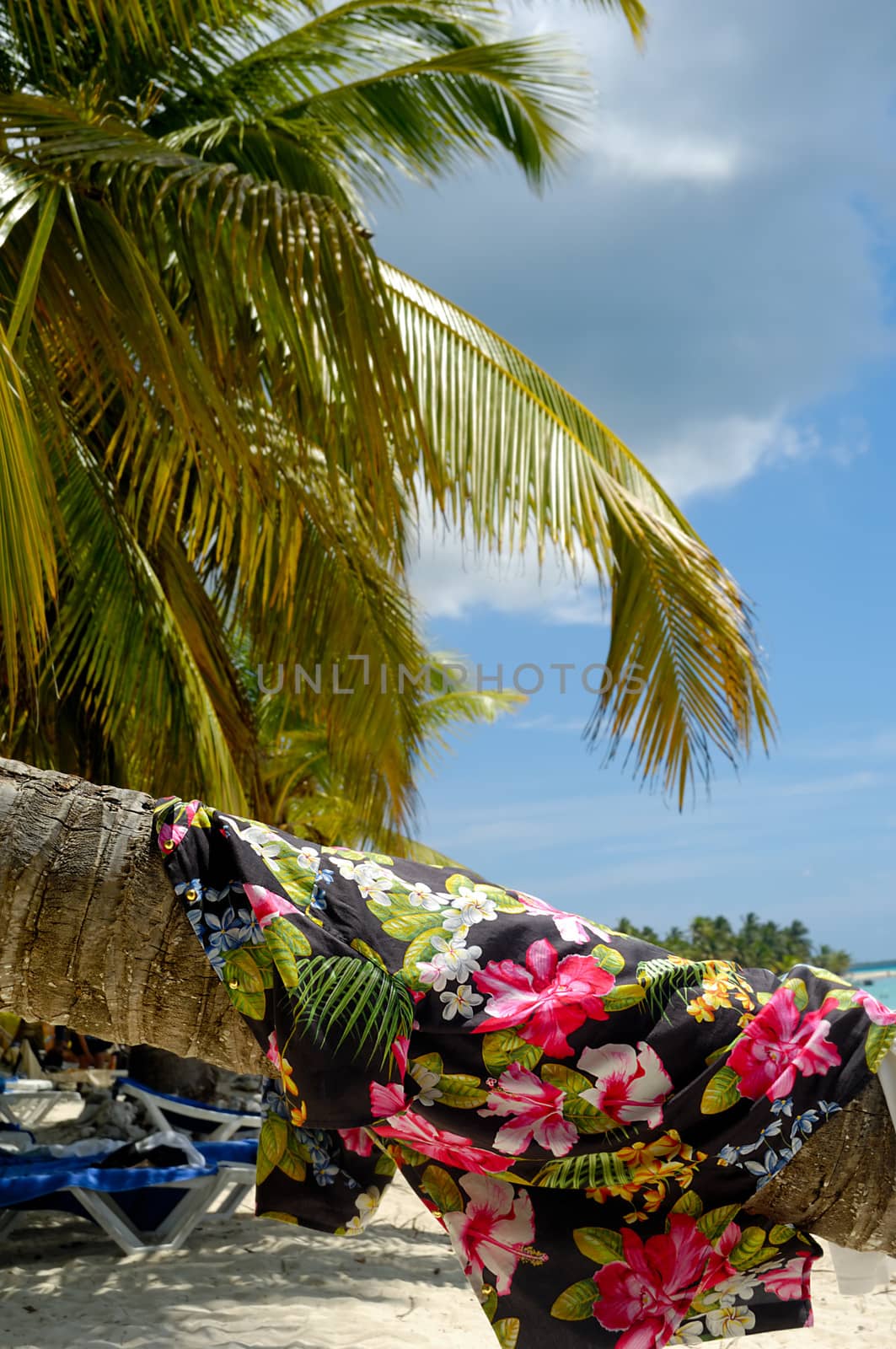 Clothing drying on palm at beach