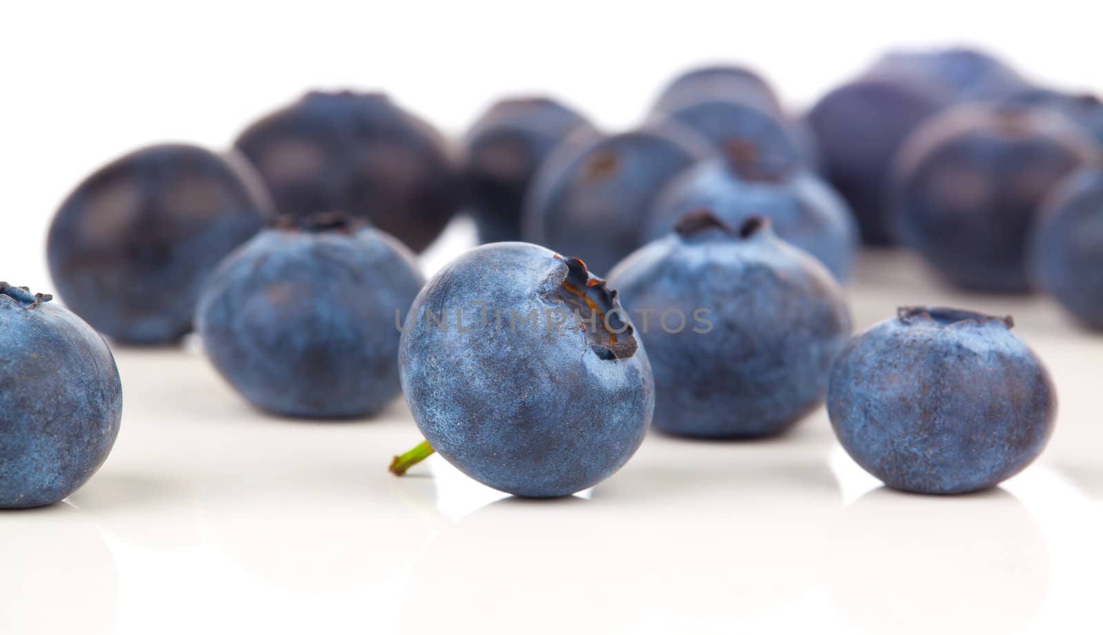 Fresh Blueberries Isolated on the White Background