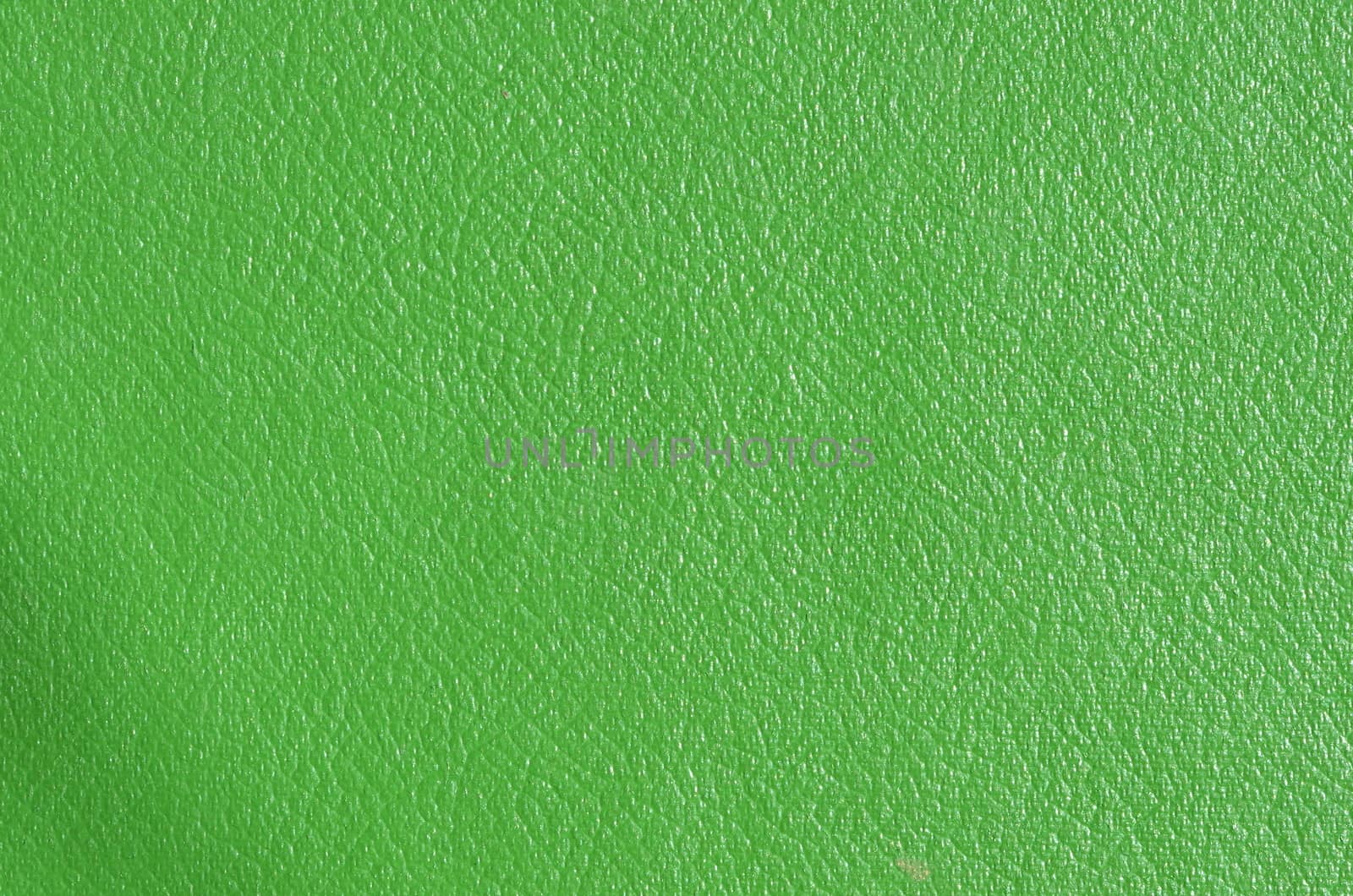 green leather by sarkao