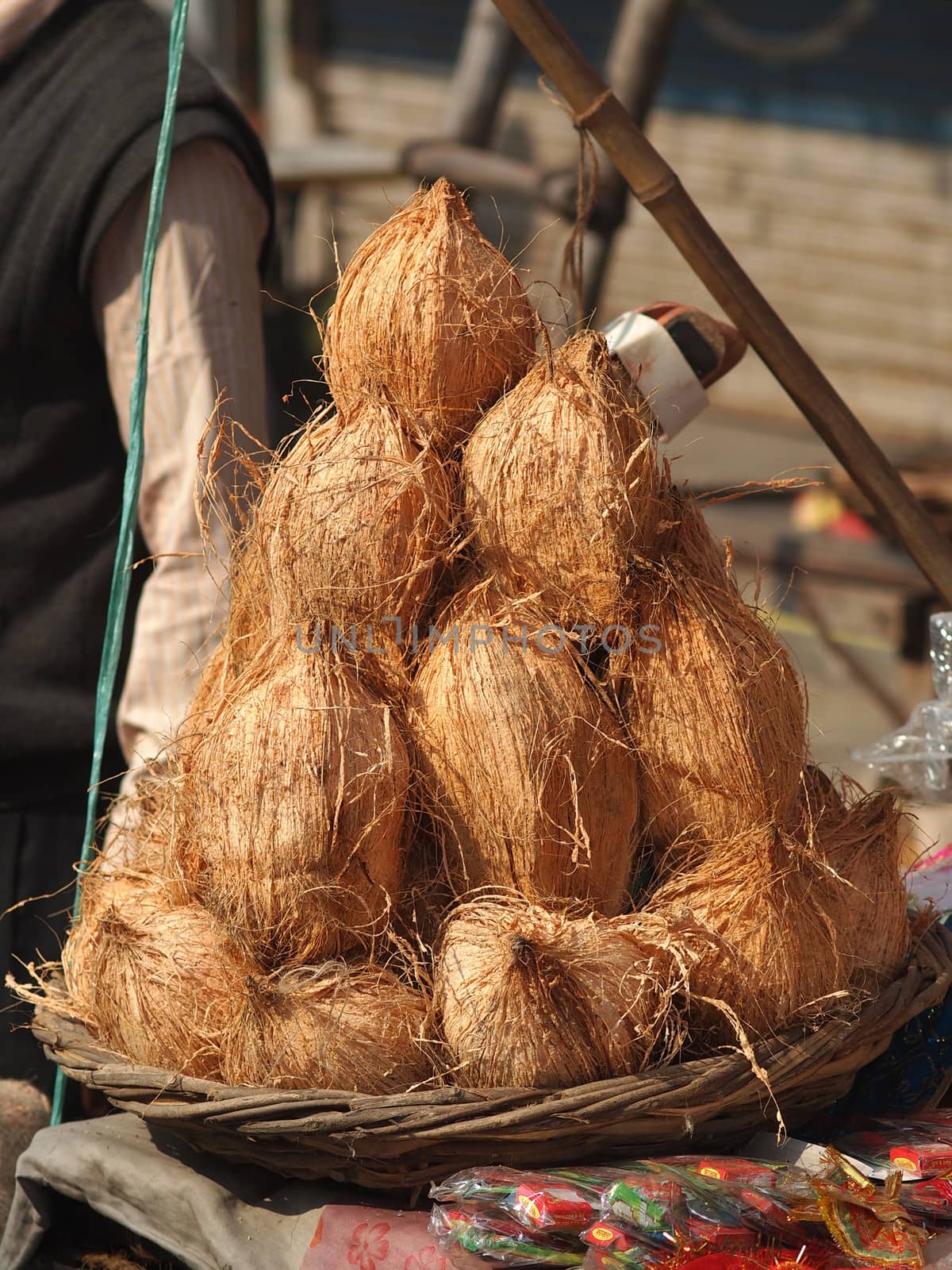 coconuts selling on the street       