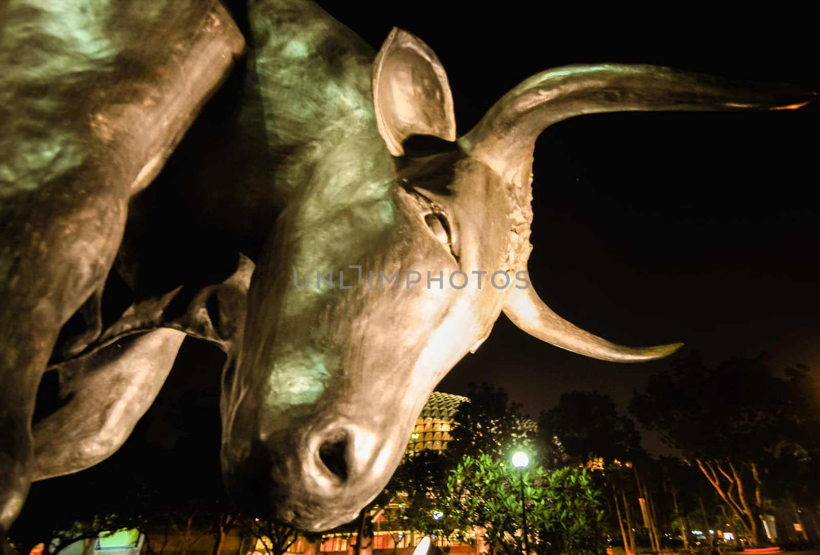 Singapore stock exchange bull at night by weltreisendertj