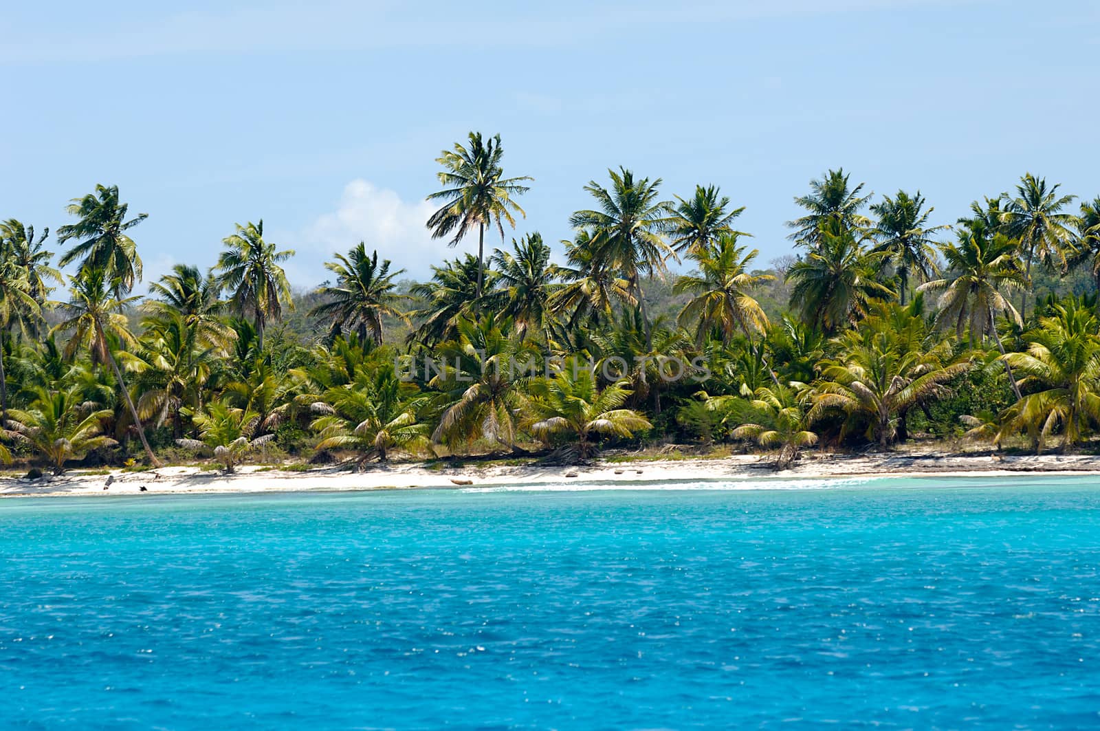Empty caribbean island with a nice beach and green palms. The picture of the beach is taken from a boat on sea.