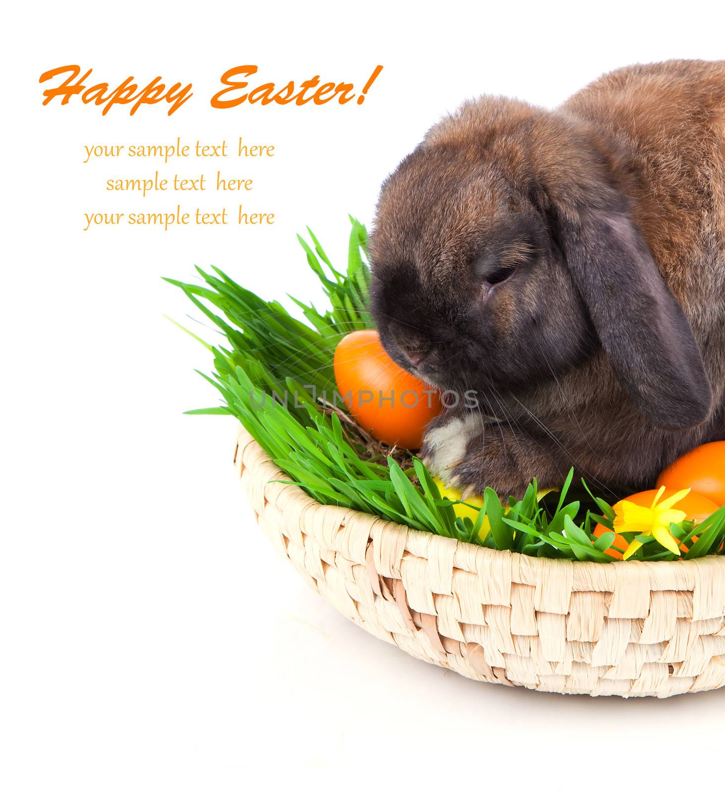 rabbit in a basket with Easter eggs, on a white background by motorolka