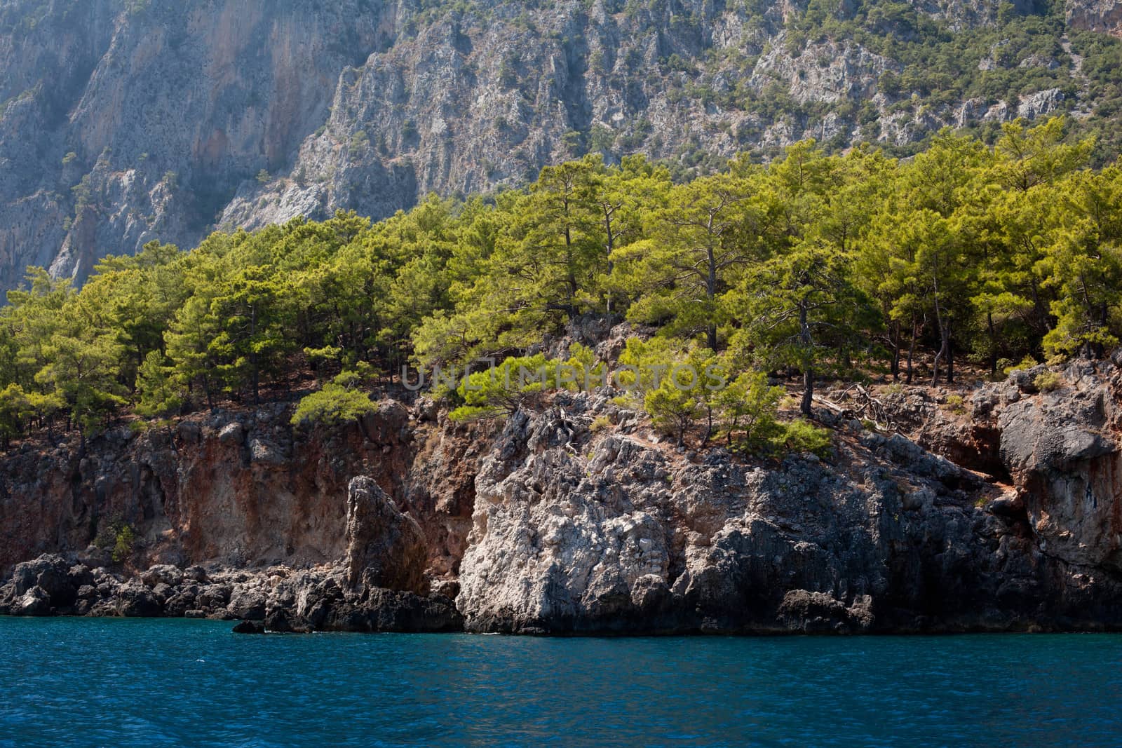 Wooded mountain and sea in Asia Minor
