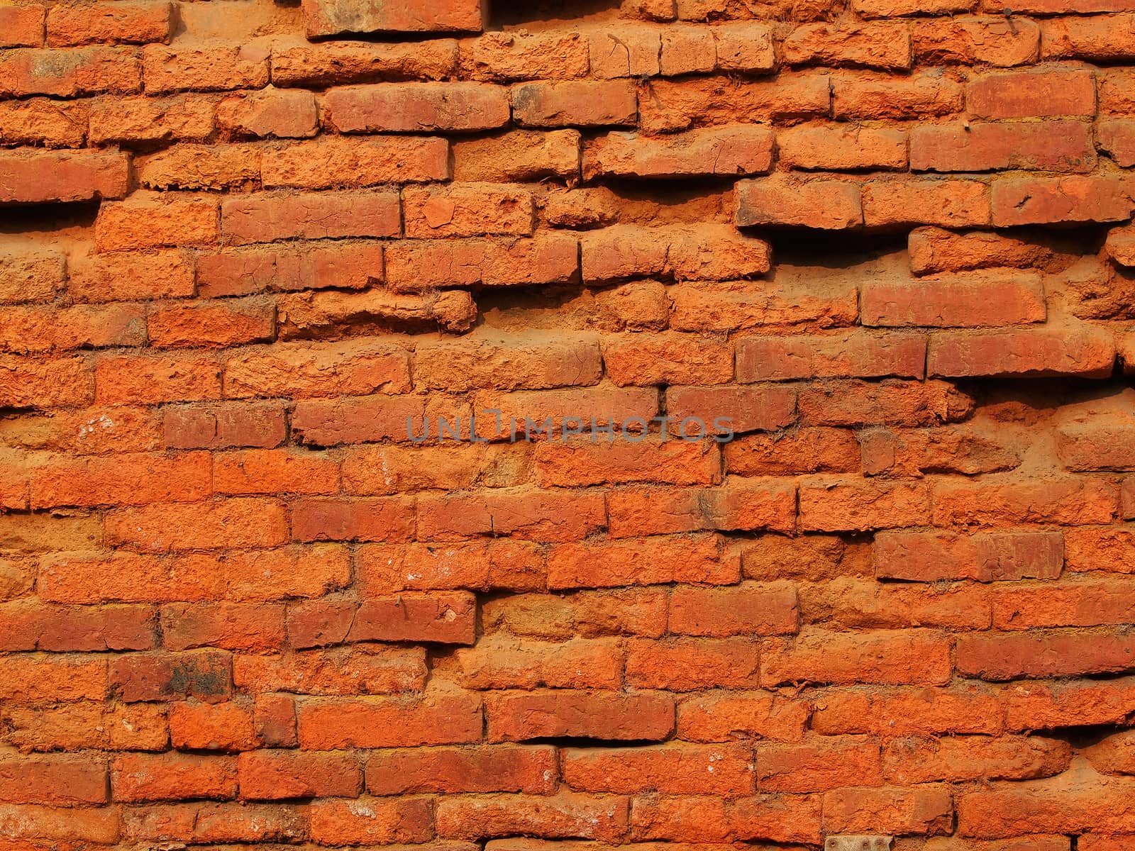 red brick wall by nevenm