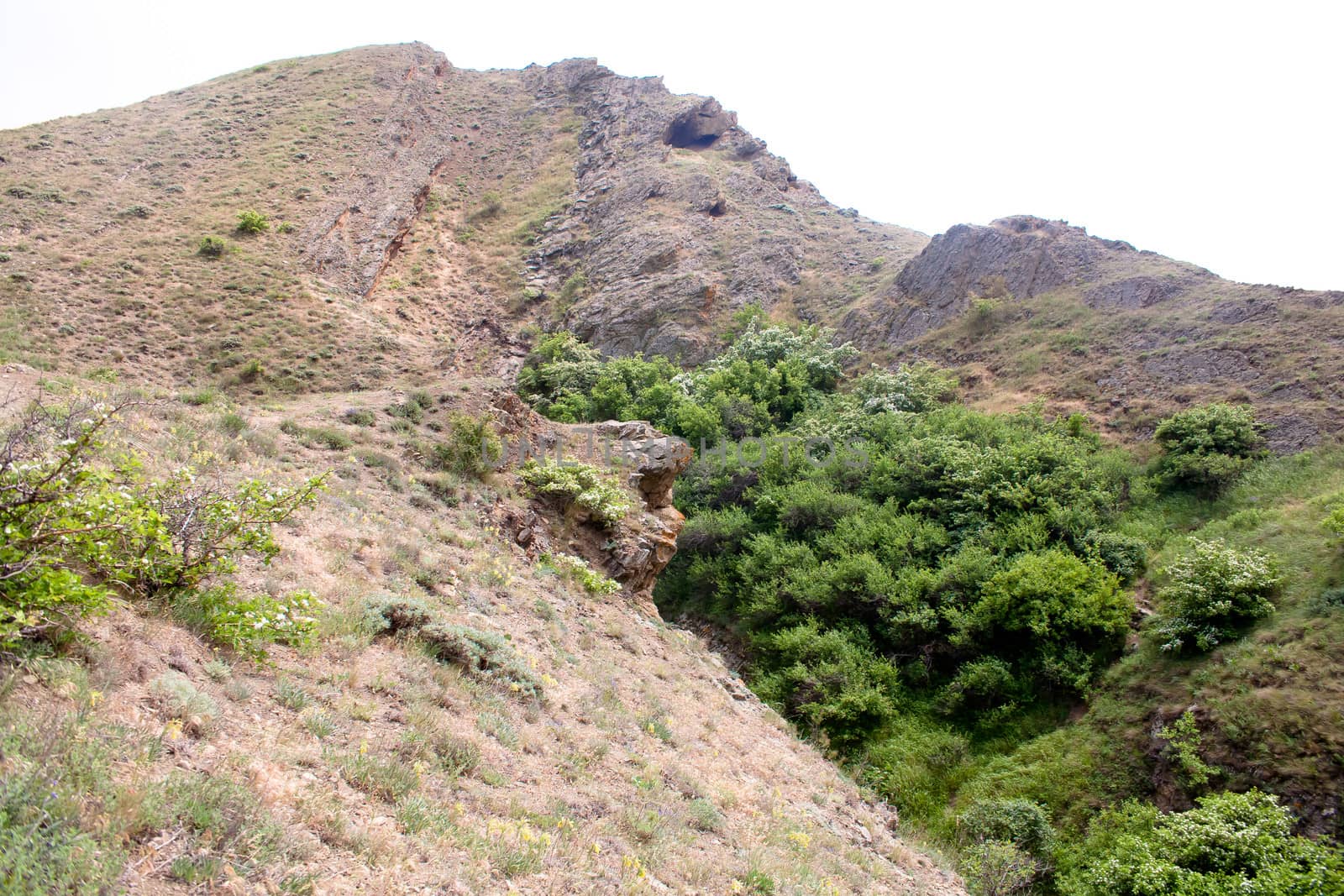 Treeless small mountain with green grass and bush in Crimea
