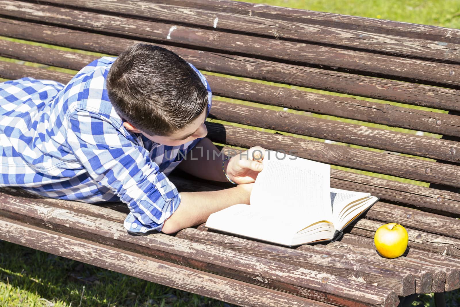 School.Young boy reading a book in the Park Bench, summer