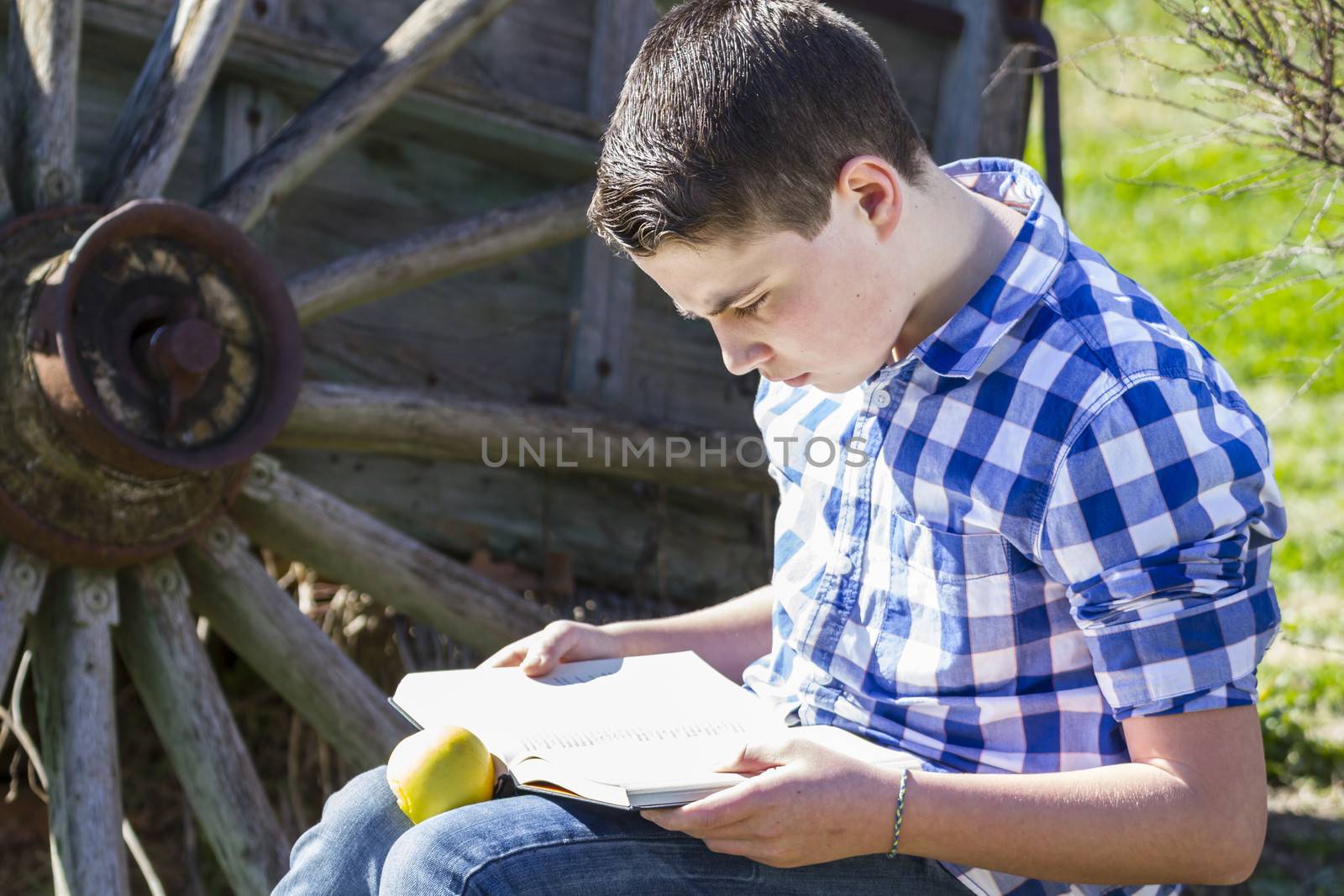 Rural.Young man reading a book in outdoor with yellow apple. Rural scene