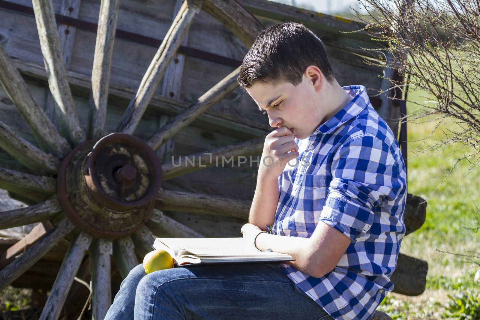 Rural.Young man reading a book in outdoor with yellow apple. Rural scene