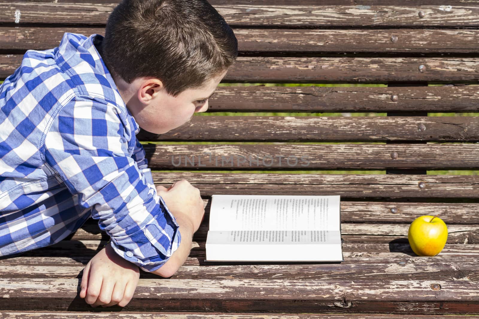 Young boy reading a book in the Park Bench, summer