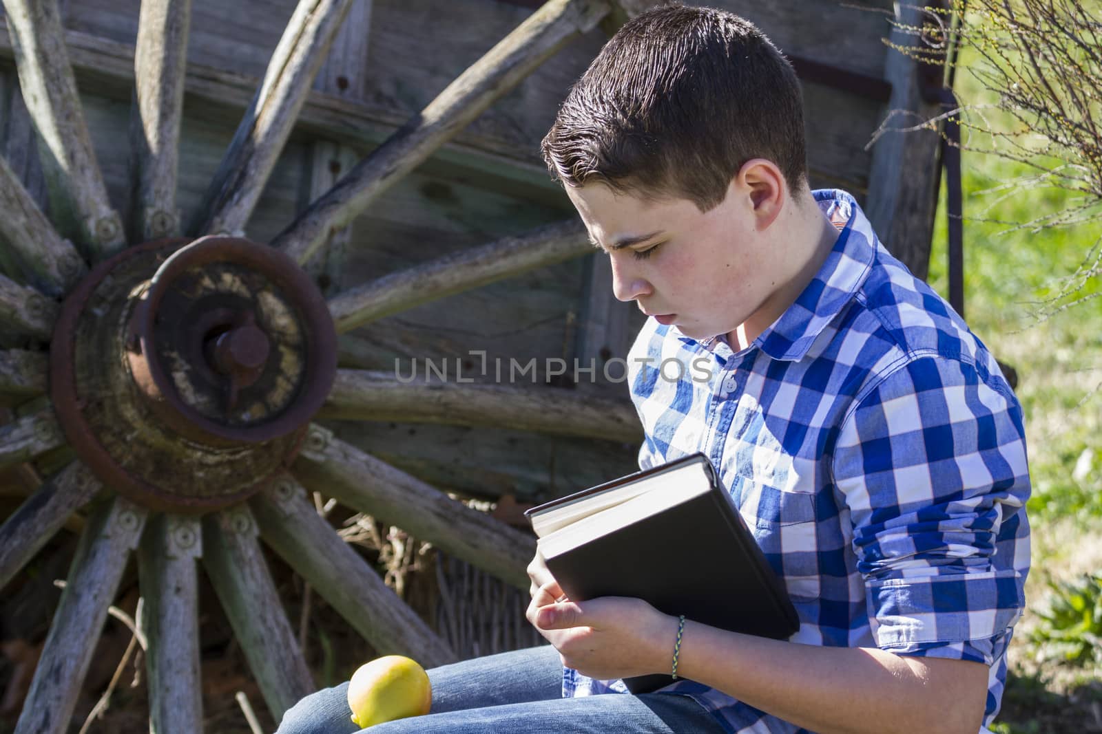 Rural.Young man reading a book in outdoor with yellow apple. by FernandoCortes