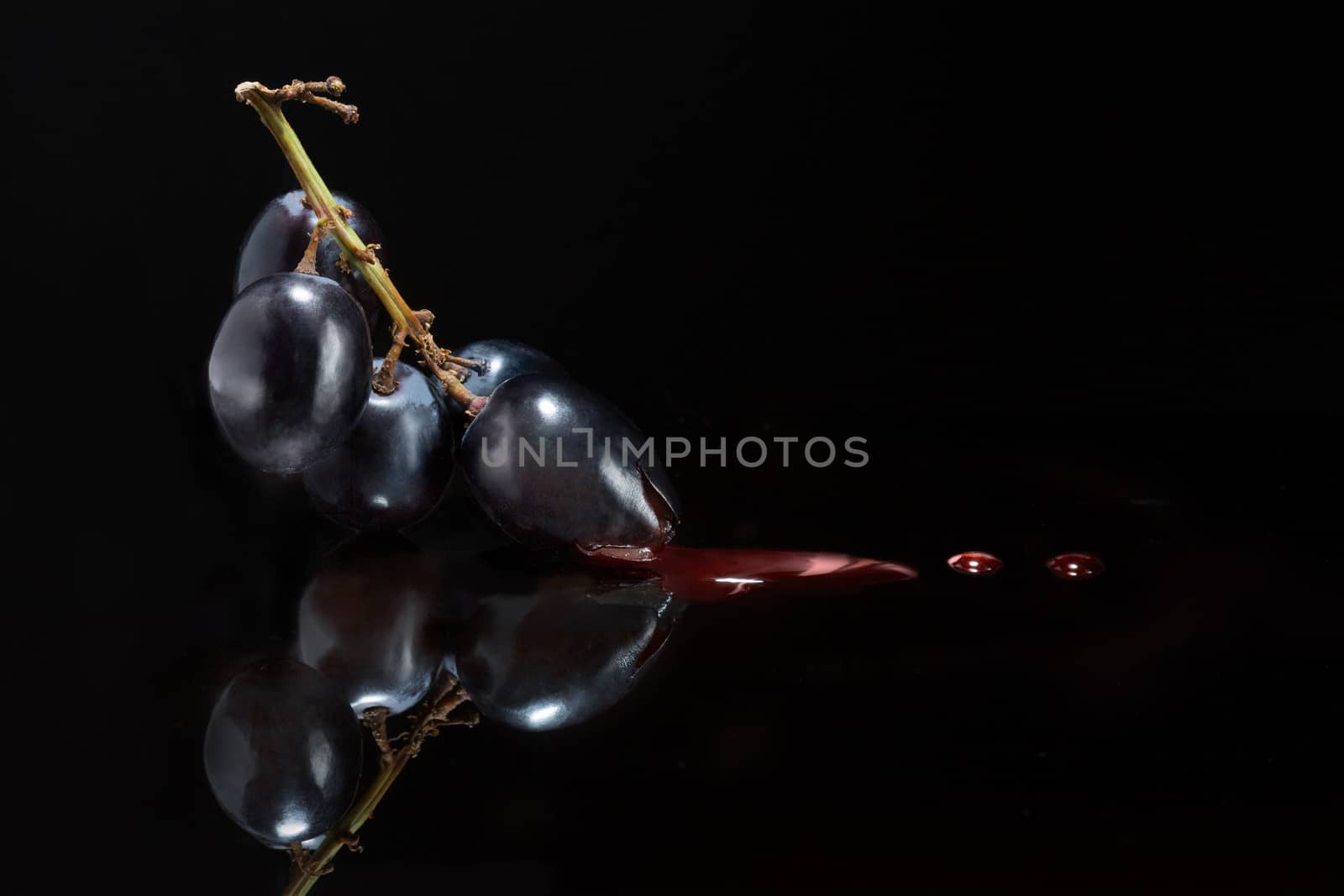 Atmospheric dark image conceptual of red wine and viticulture with a suspended bunch of black grapes with droplets of red wine flowing from them onto a reflective black surface with copyspace