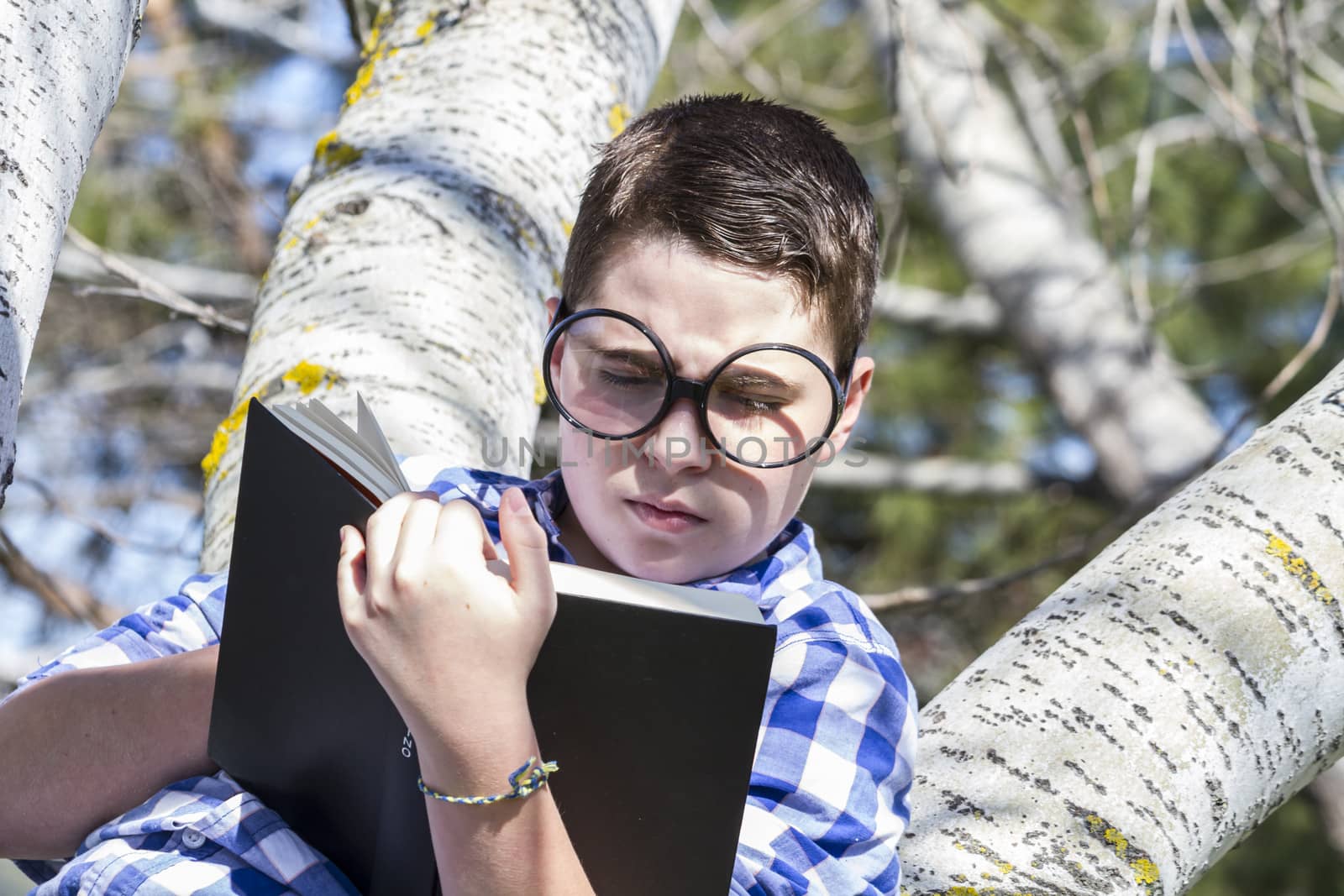 Student boy reading a book in the woods with shallow depth of field and copy space