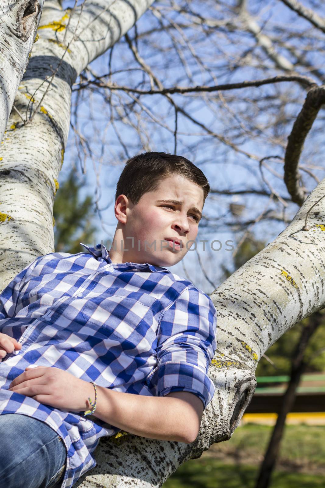 A young boy dressed in western attire, outdoor park, summer