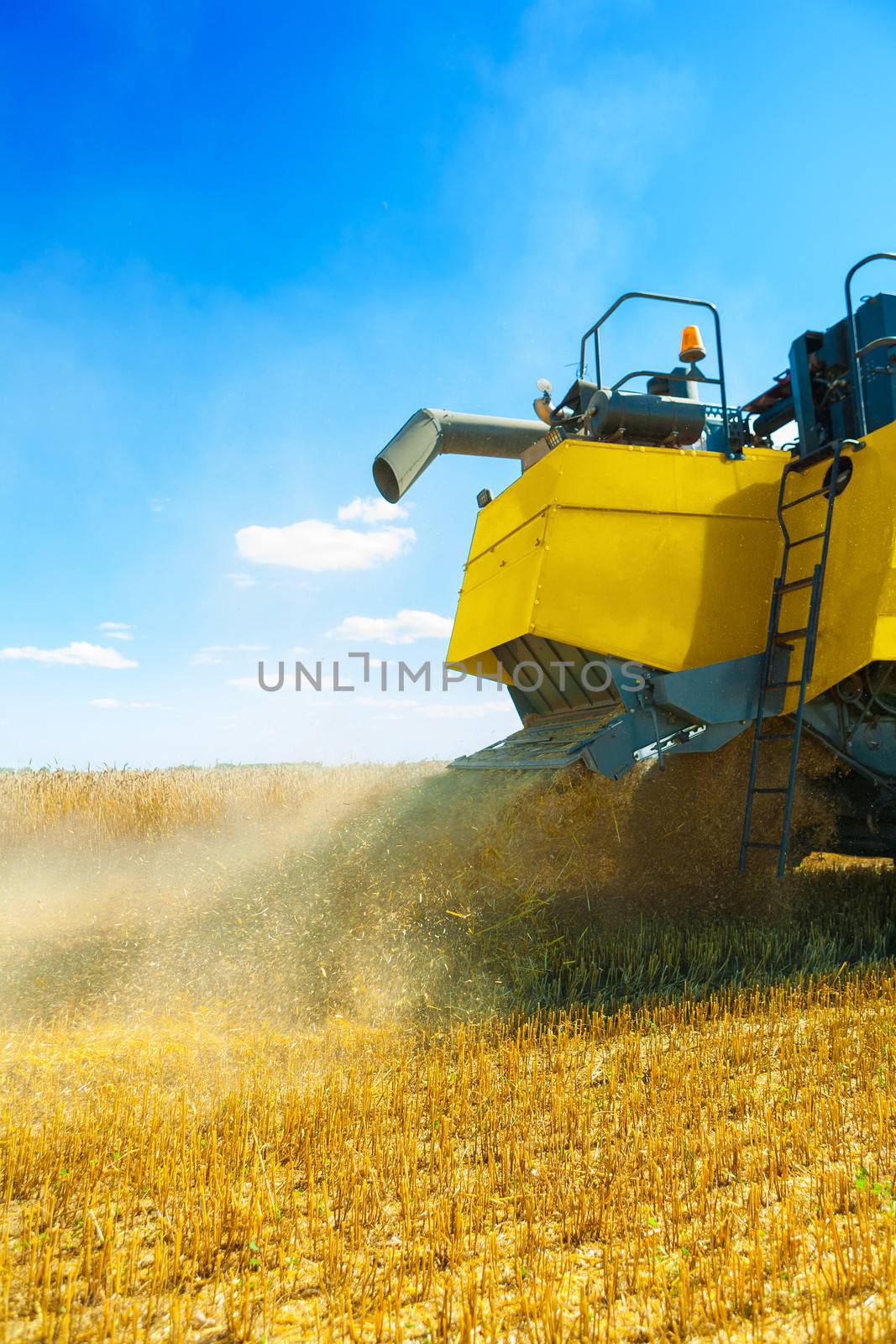 view on grinding of wheat at harvest by mihalec