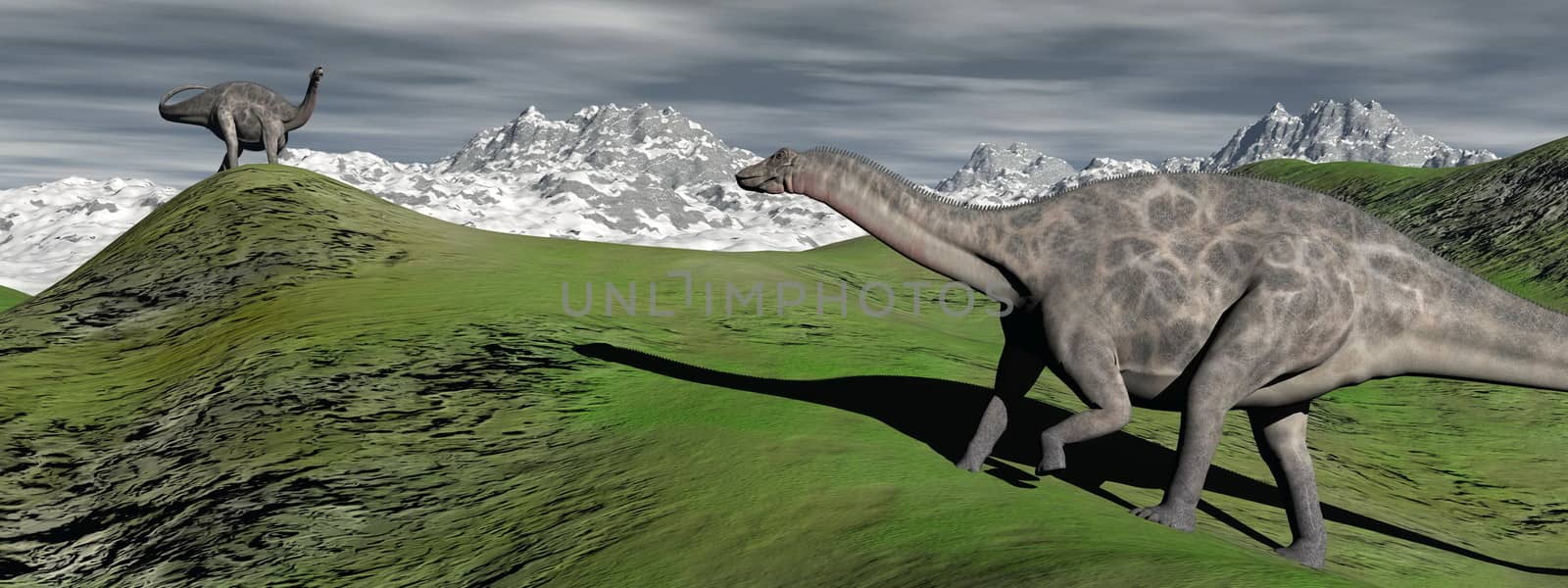 two dicraeosaurus on hills and which distrust the look