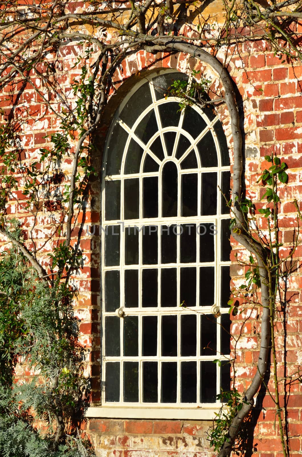 white window red brick by pauws99