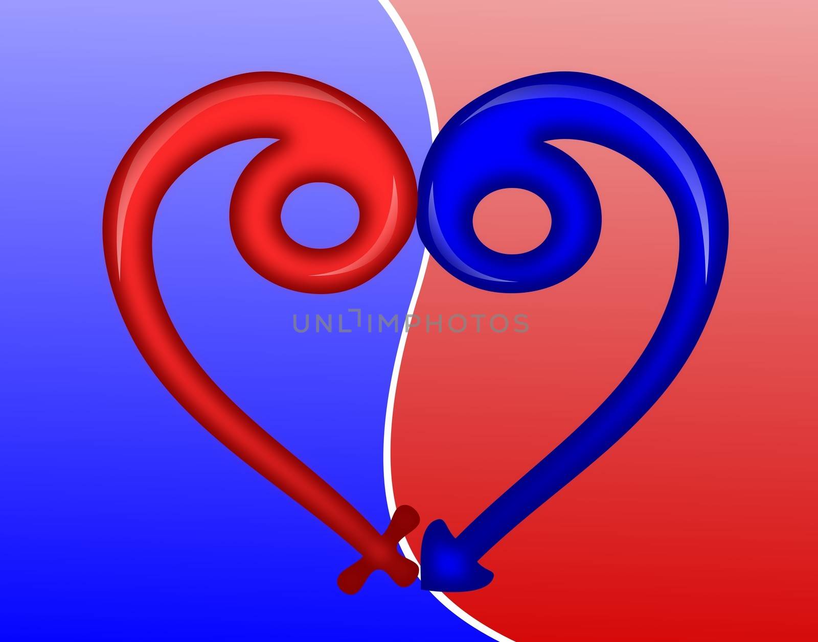 Concept of love illustrated with a male and female icon signs forming a heart shape
