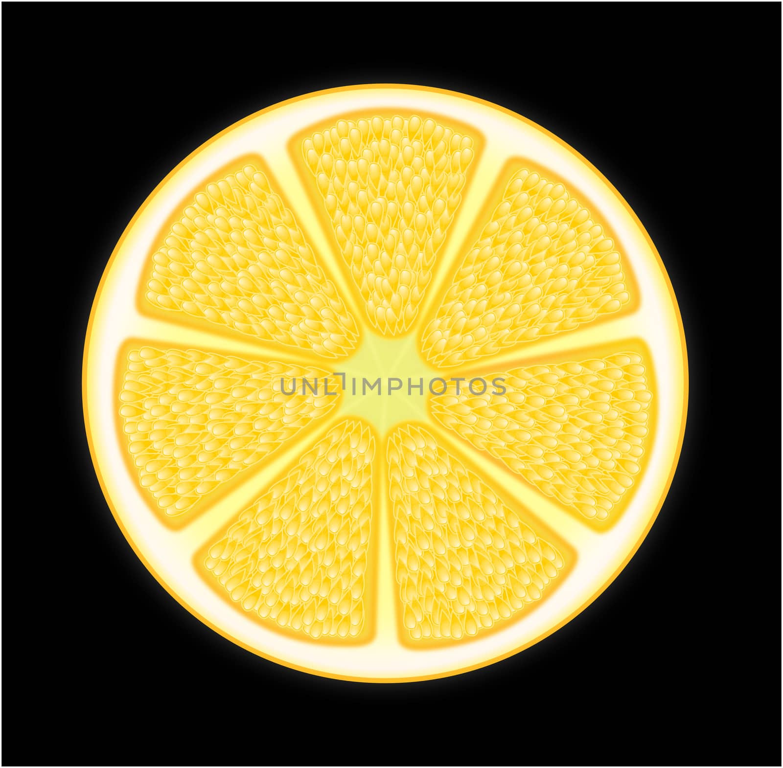 A cross section slice of citrus orange 
