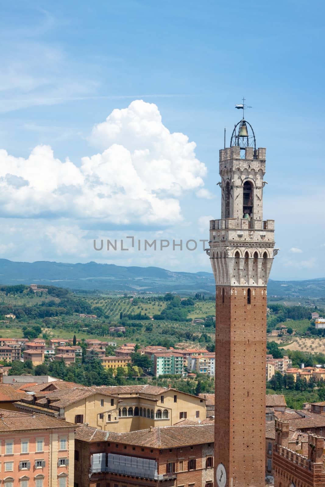 The main tower of Siena in summer day
