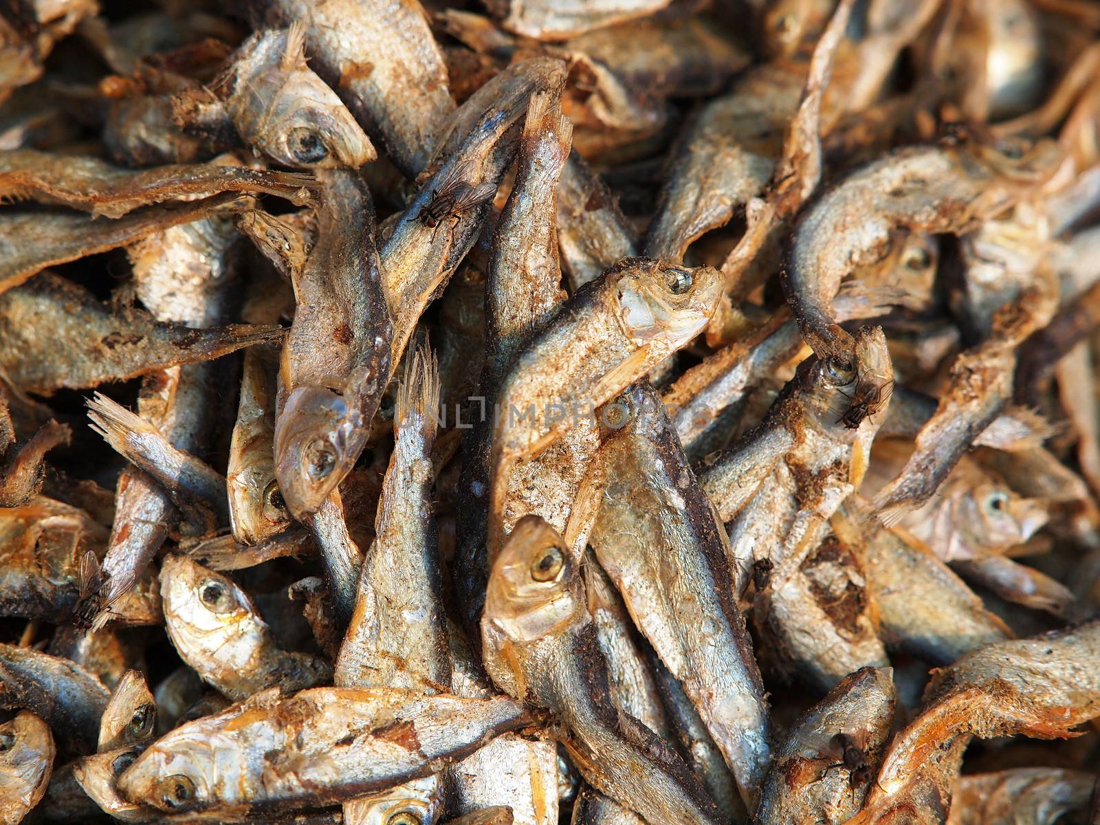 dry fish on the open market in Asia     